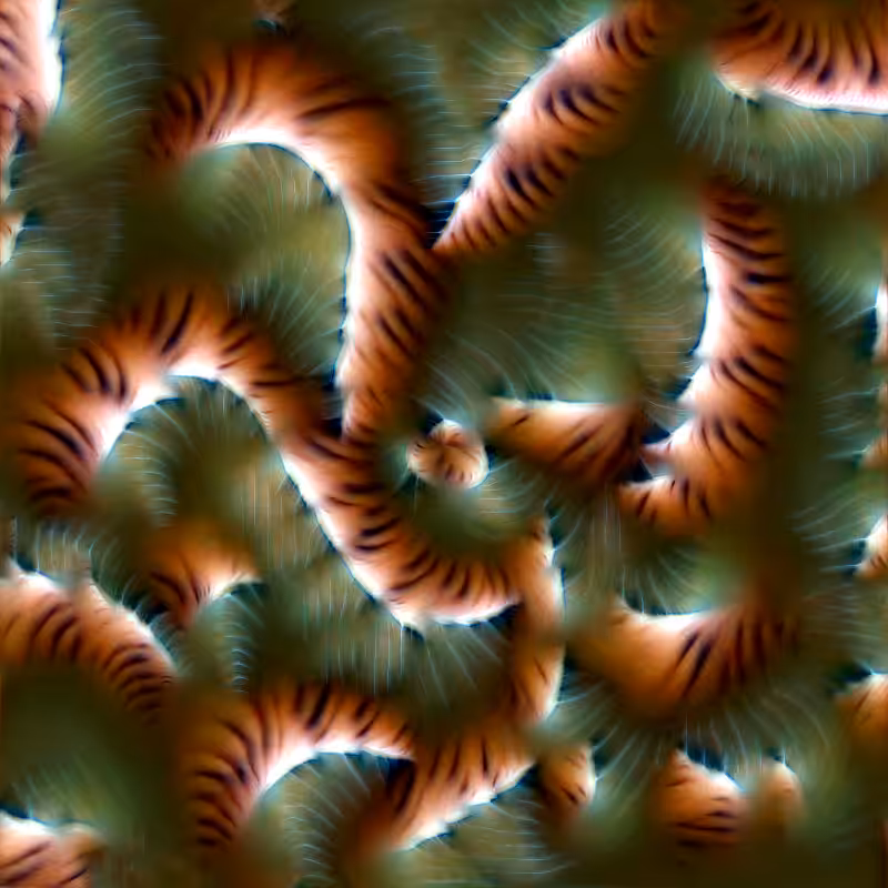 Genomes #2071