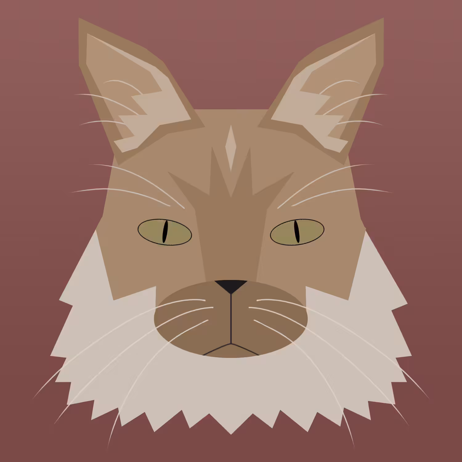 kitty #16 - maine coon