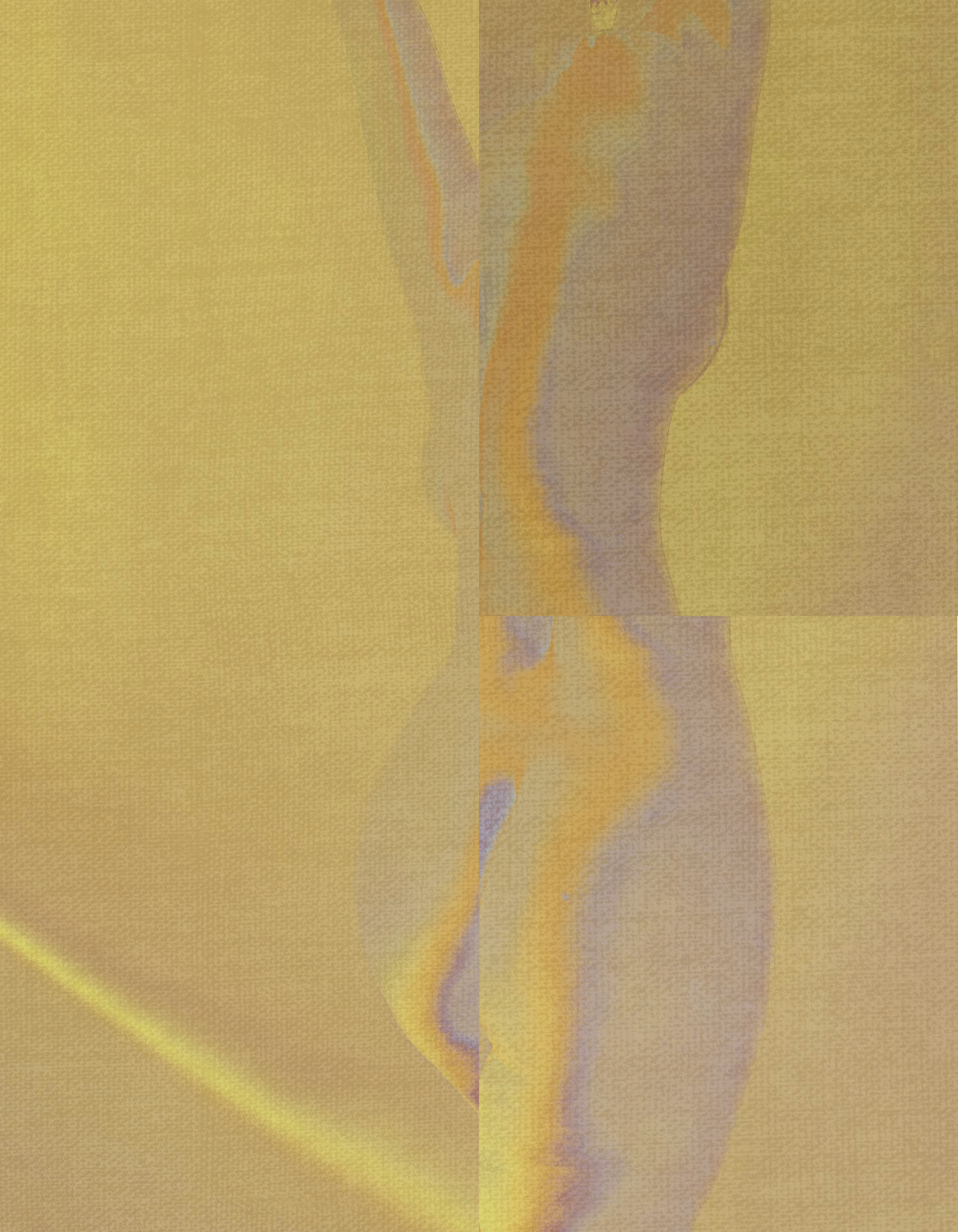 Bodies of Color #02