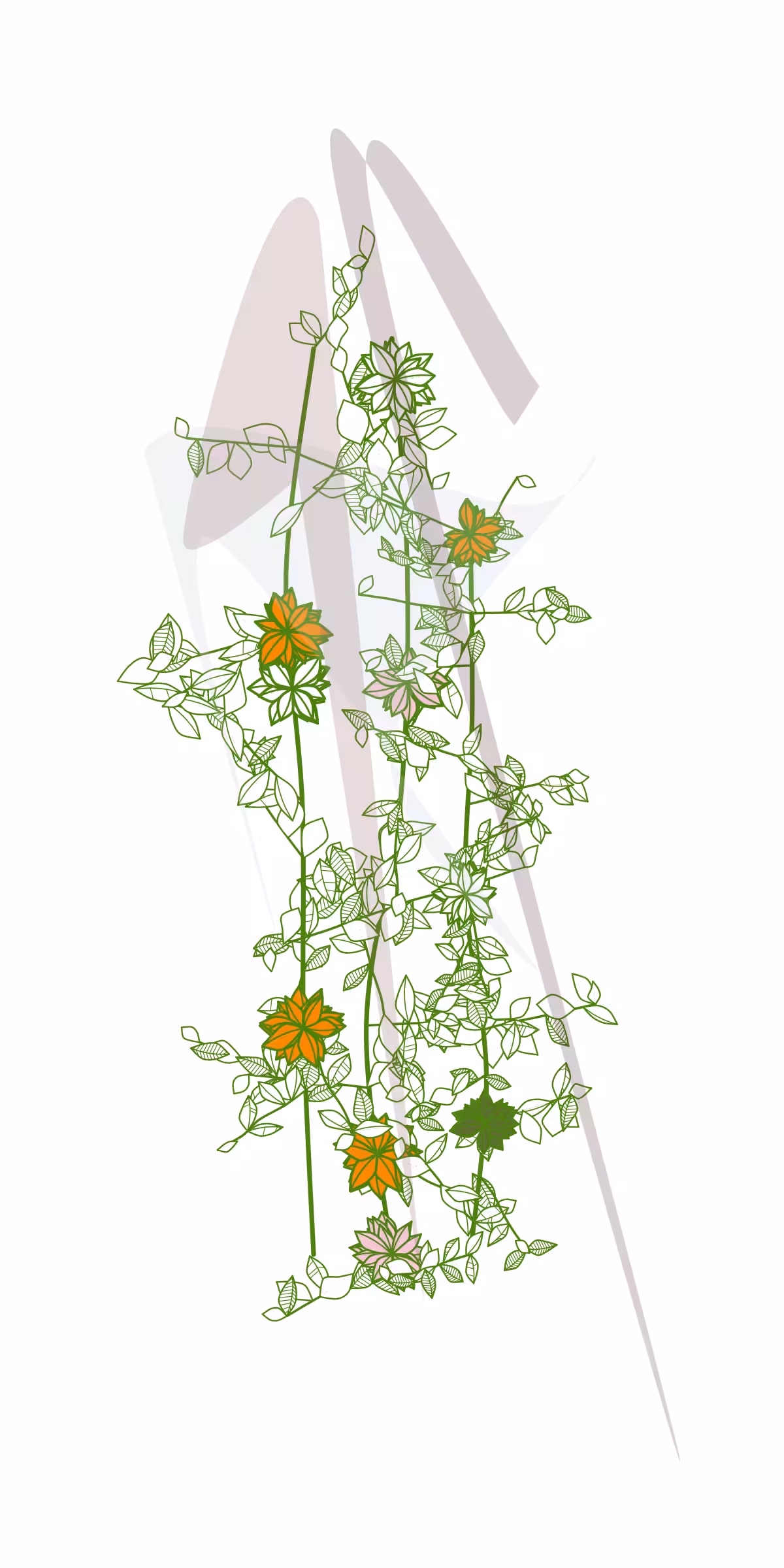 Minimalist Nature #10