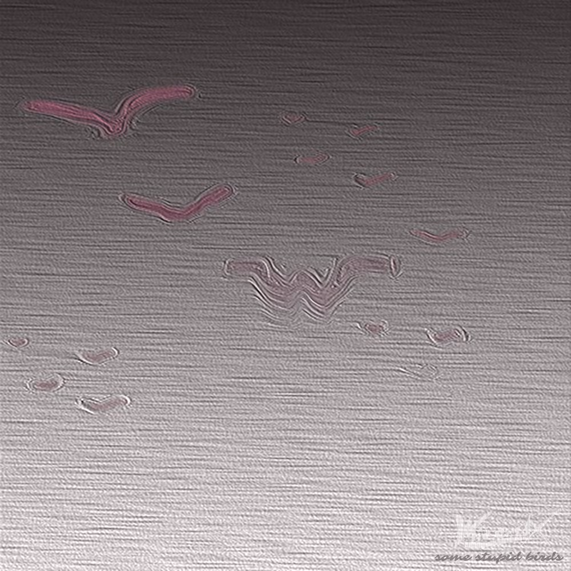 some stupid birds