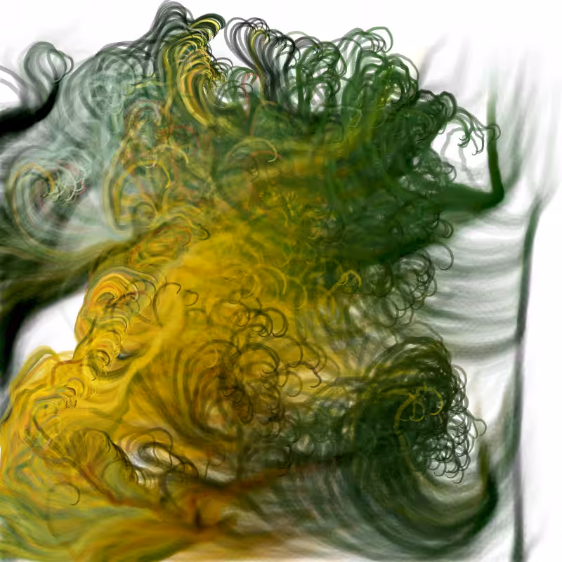 Hypericum #146