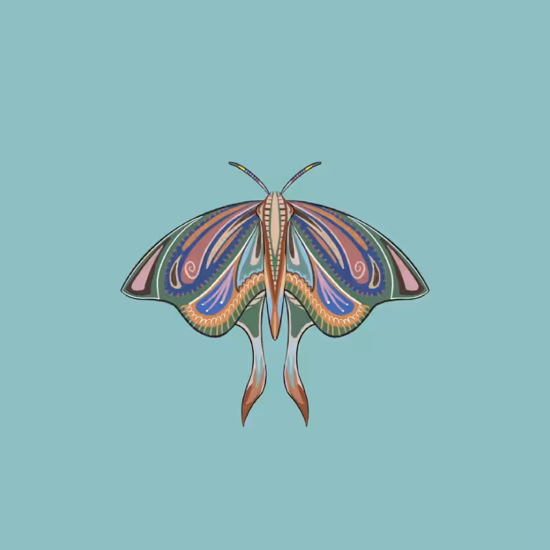 The Moth Experiment 2.0 P2 #10