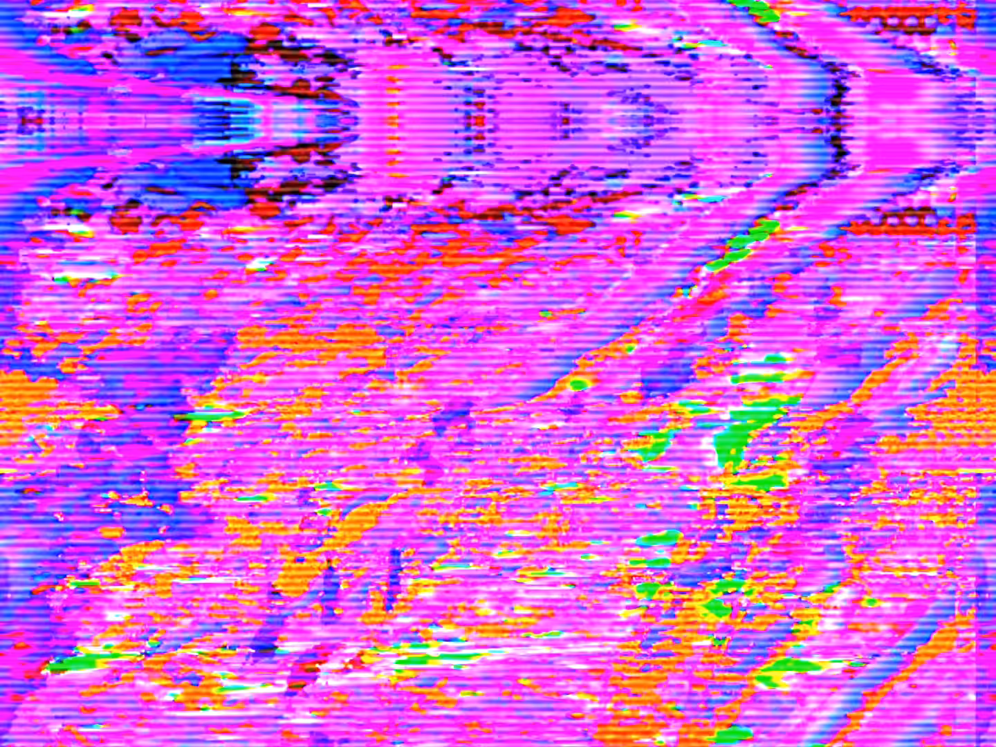 _B O R N__T R A $ H_____
