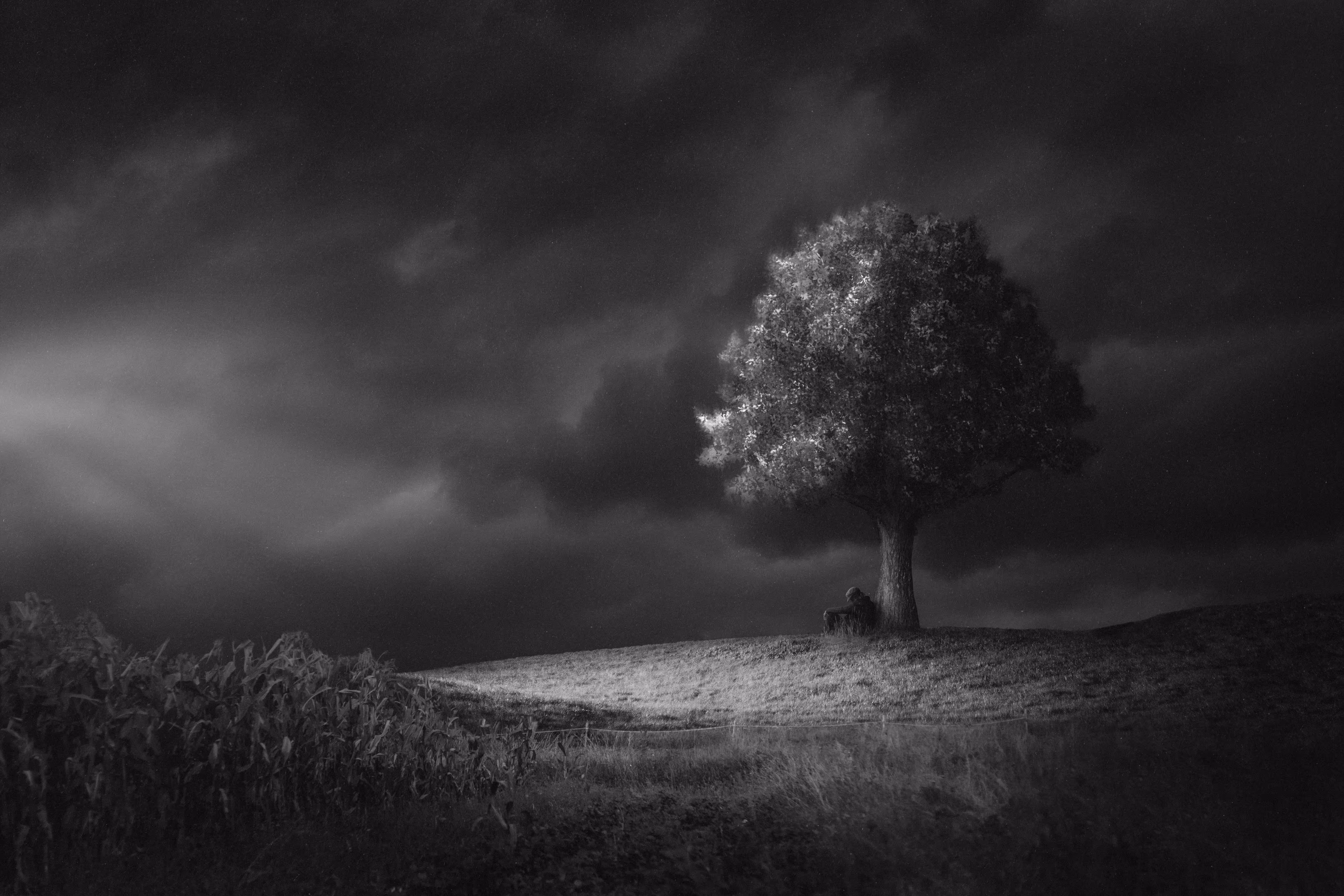 in the darkest night