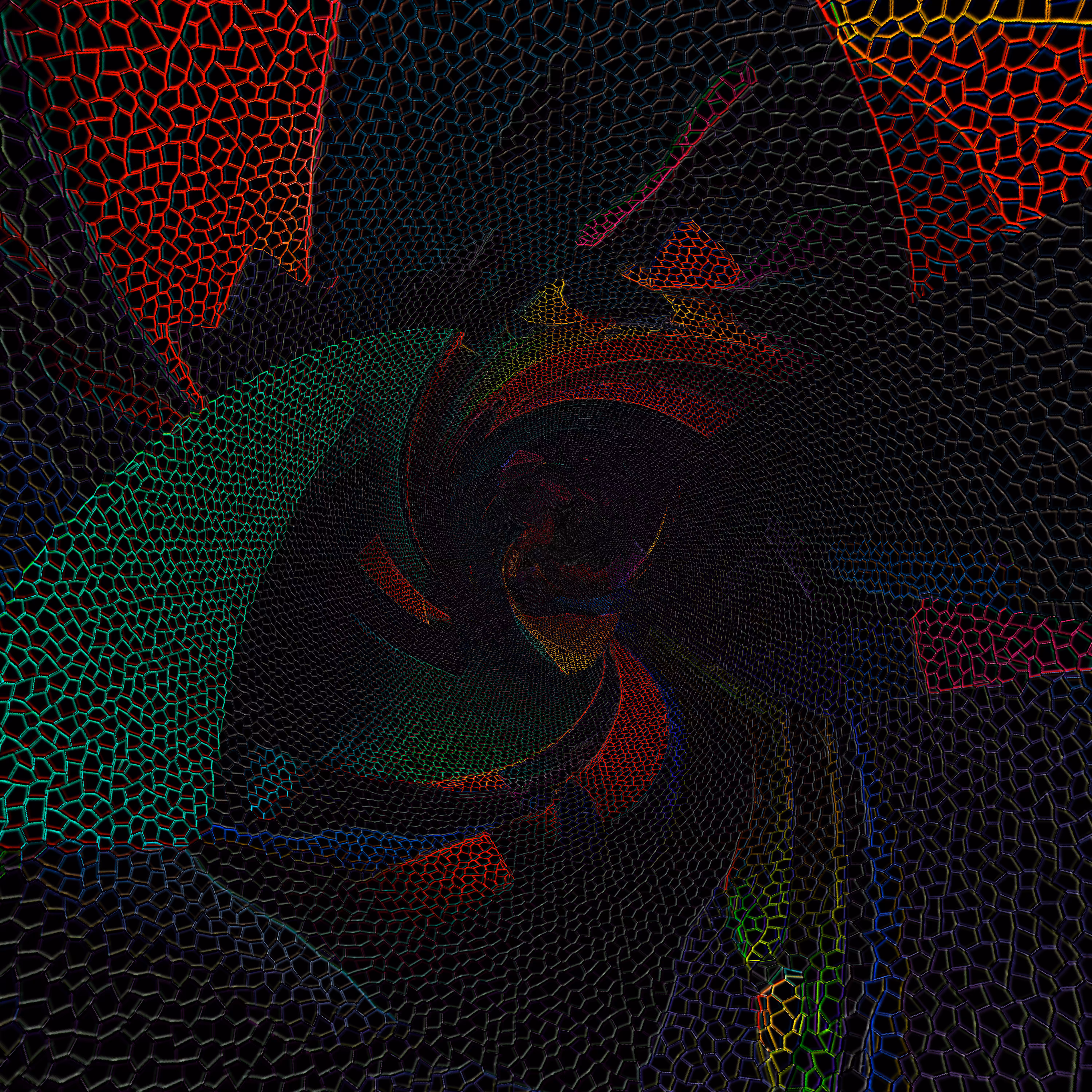 Wireframe // 6