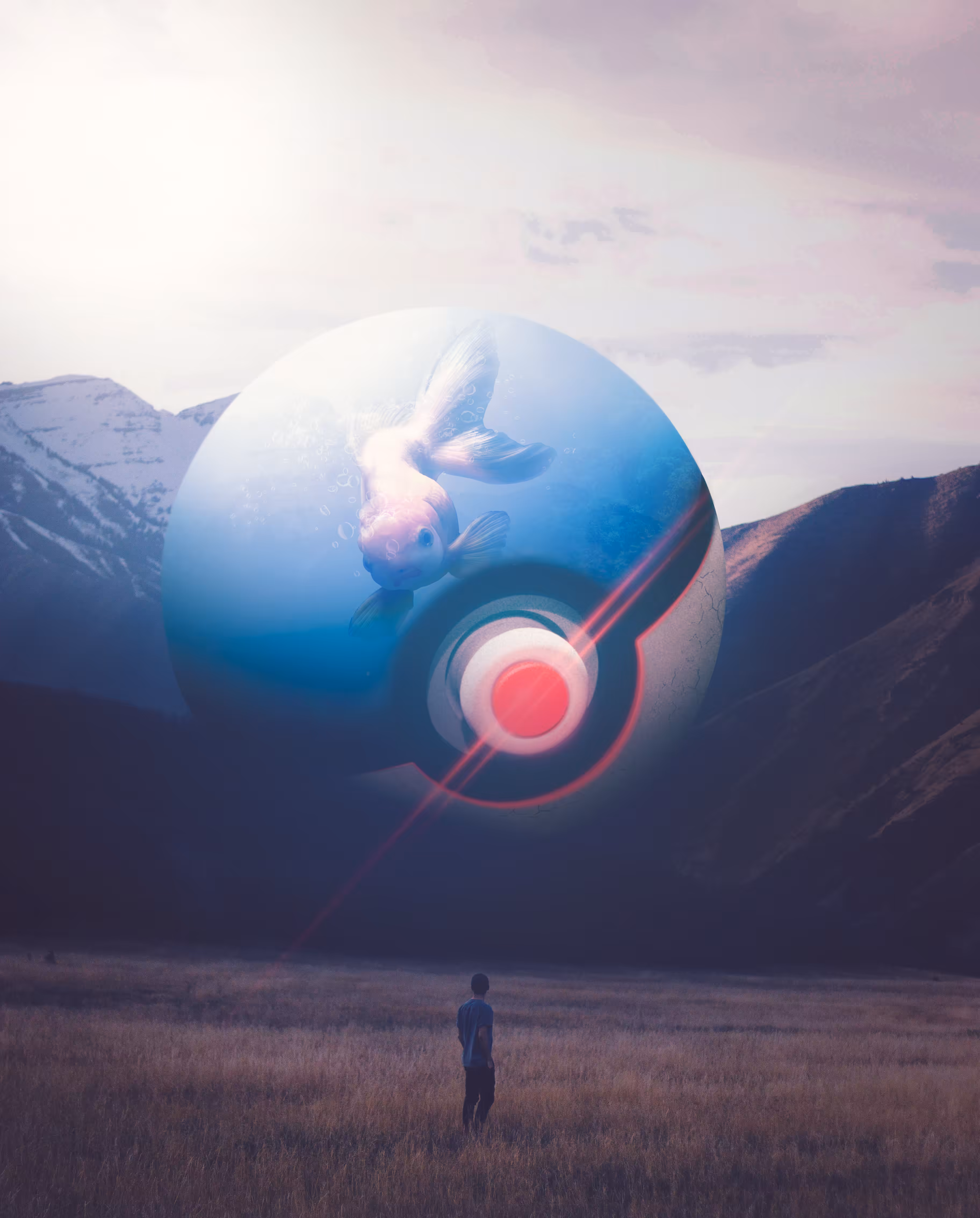 Pokemon Ball 