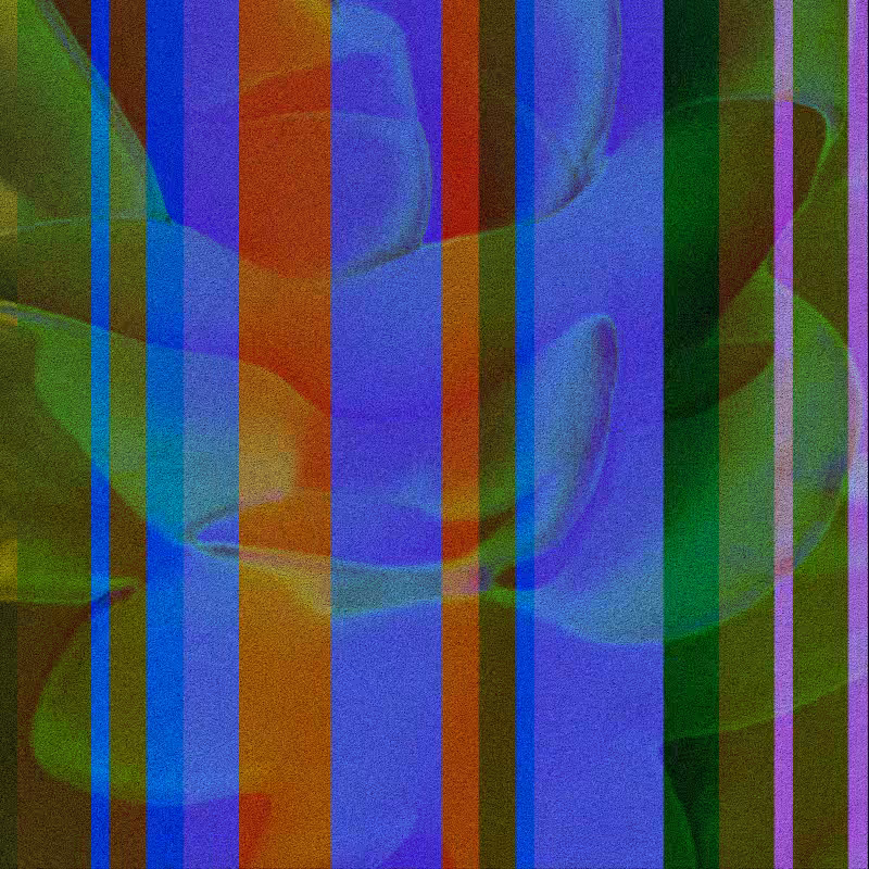 CLDCSMC #137