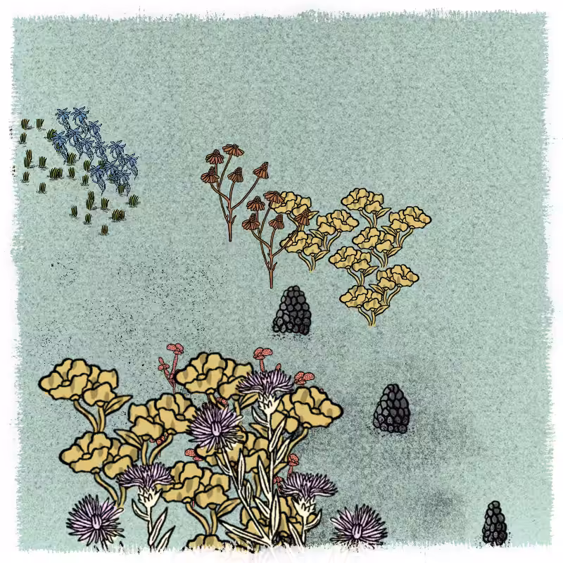 Gardens  #200