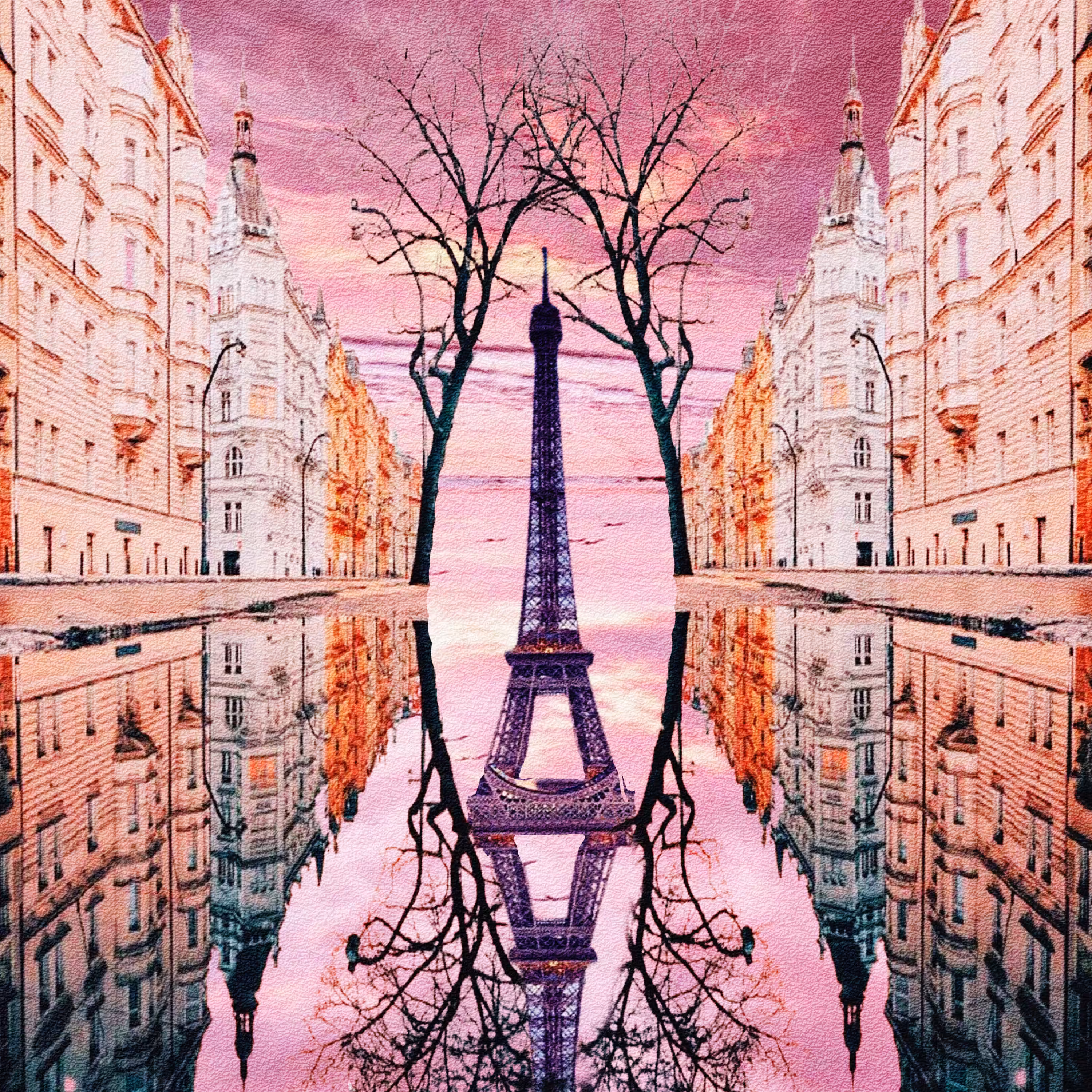 The Reflection