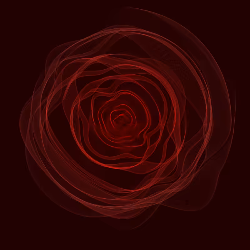 Roses #8