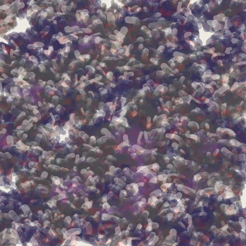 Petri 1500 #63