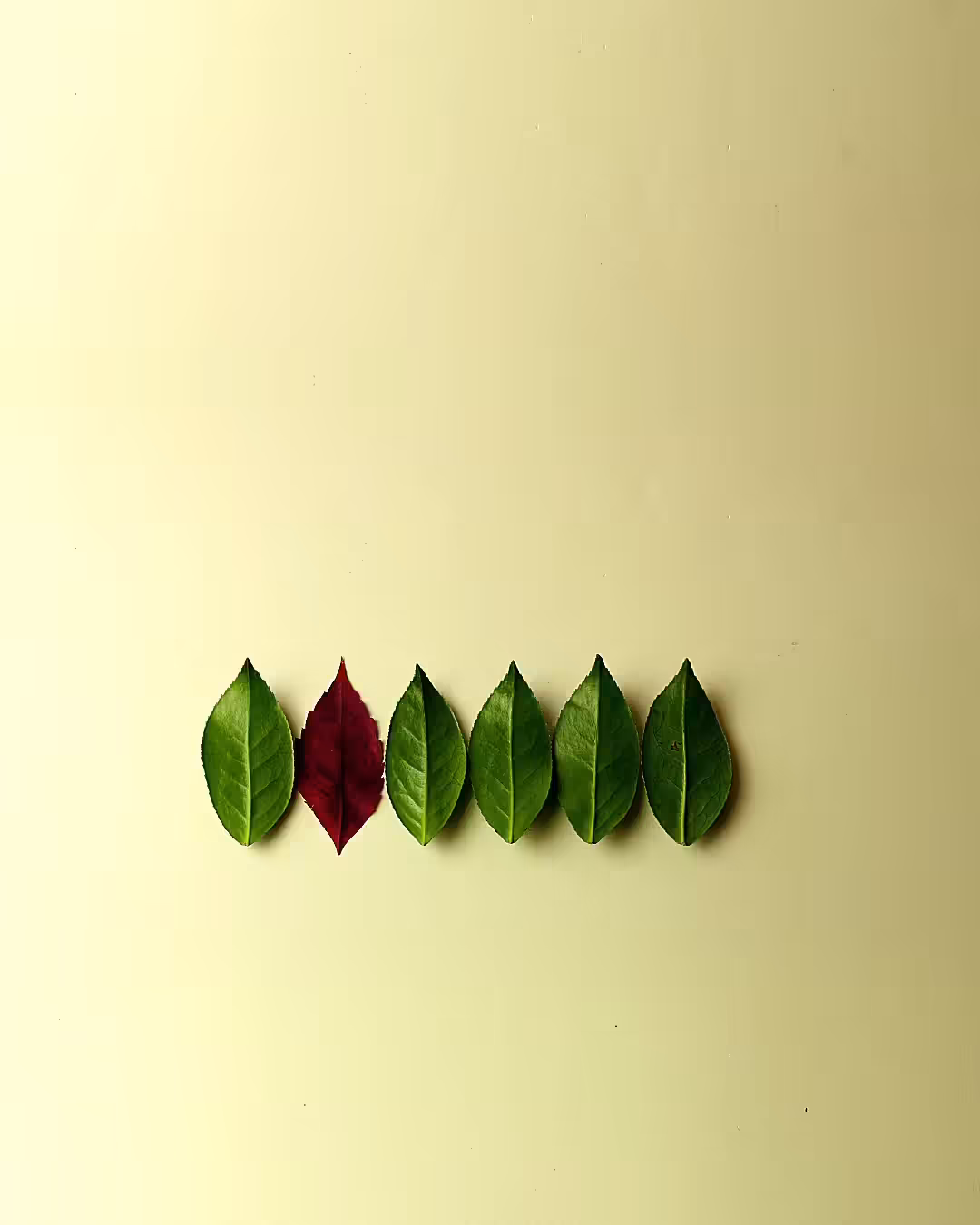 Newton - Series Leaf - 02