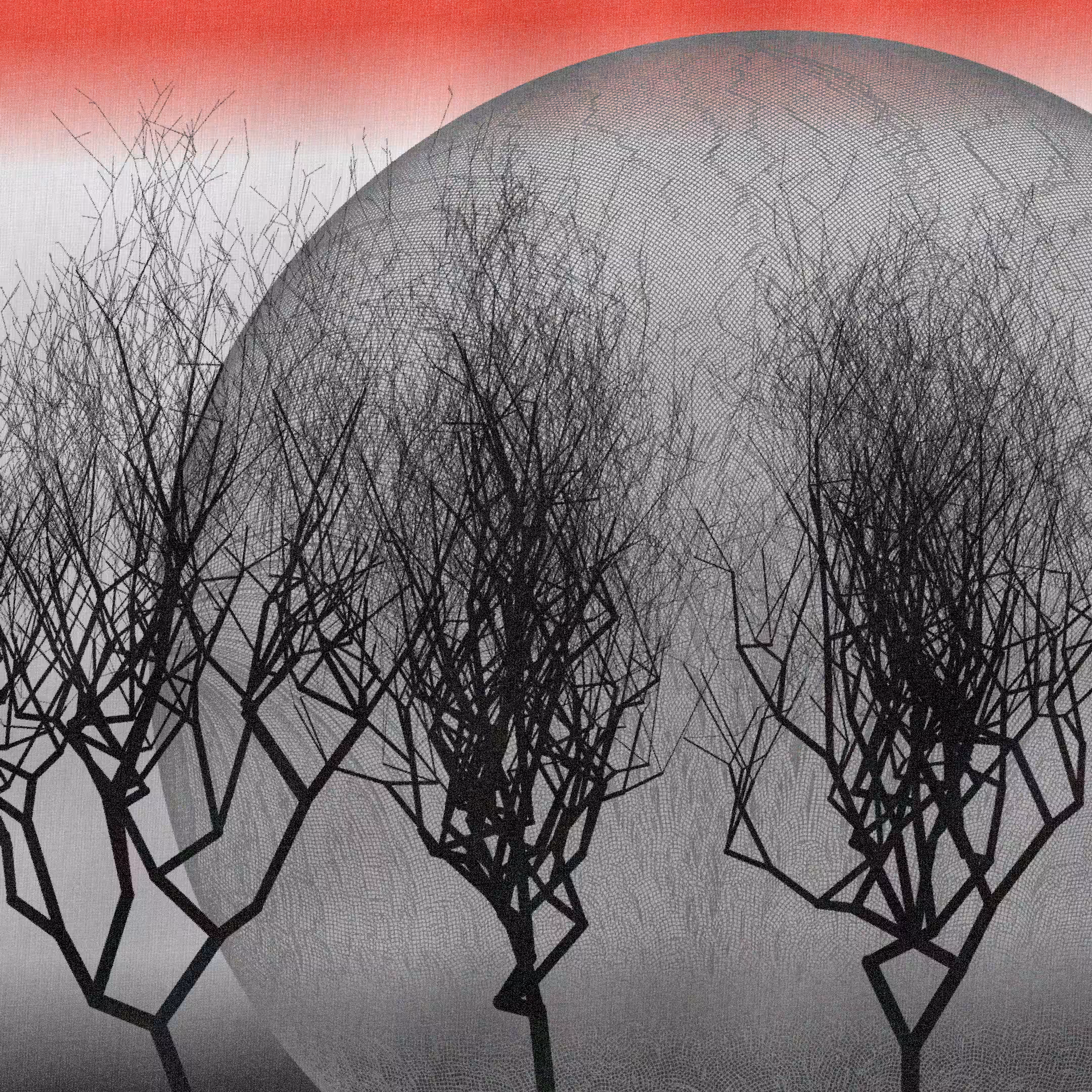 Three dead trees on earth #228