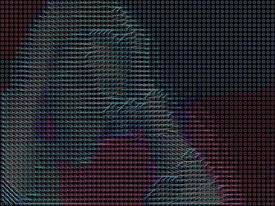 omo #2