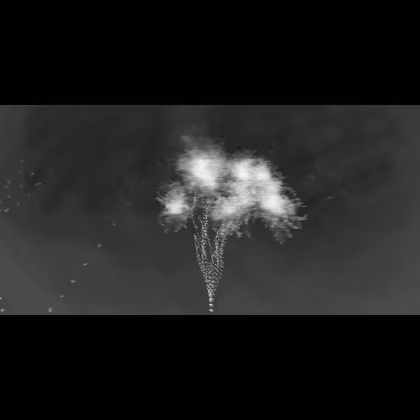 abhāva #56