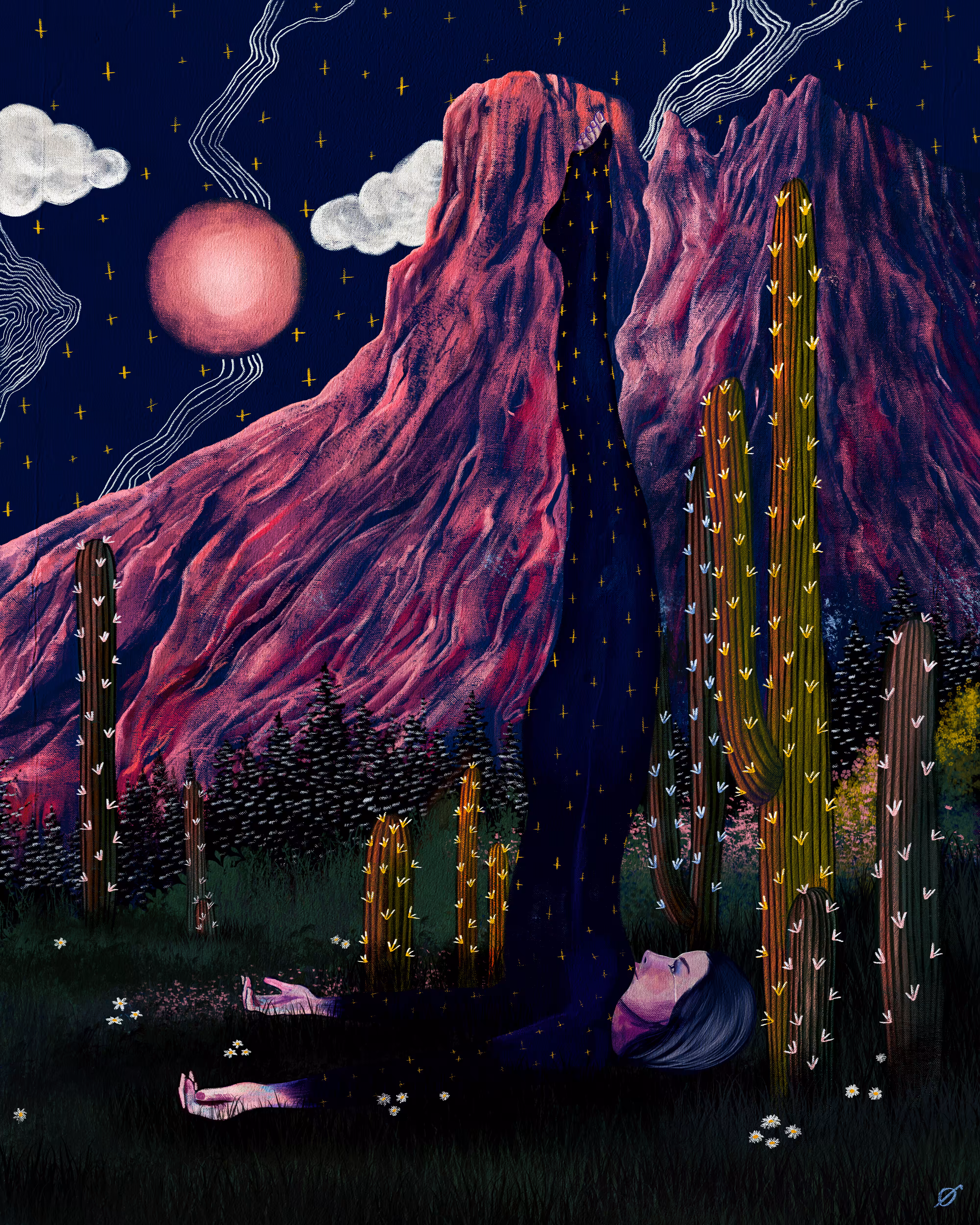 Midnight Metamorphosis