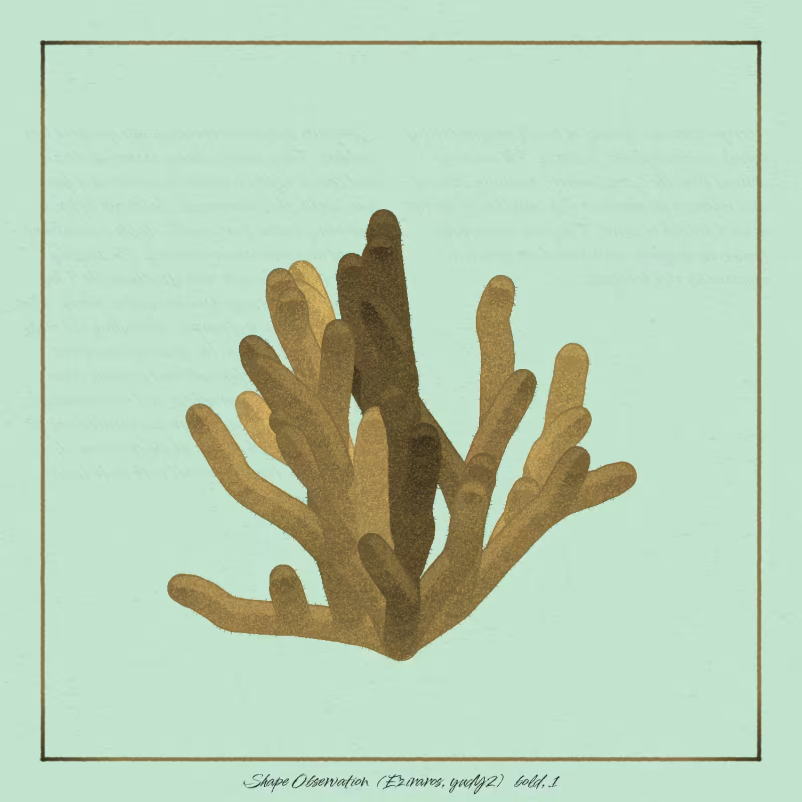 The Restoration Scheme: Shape Observation #77