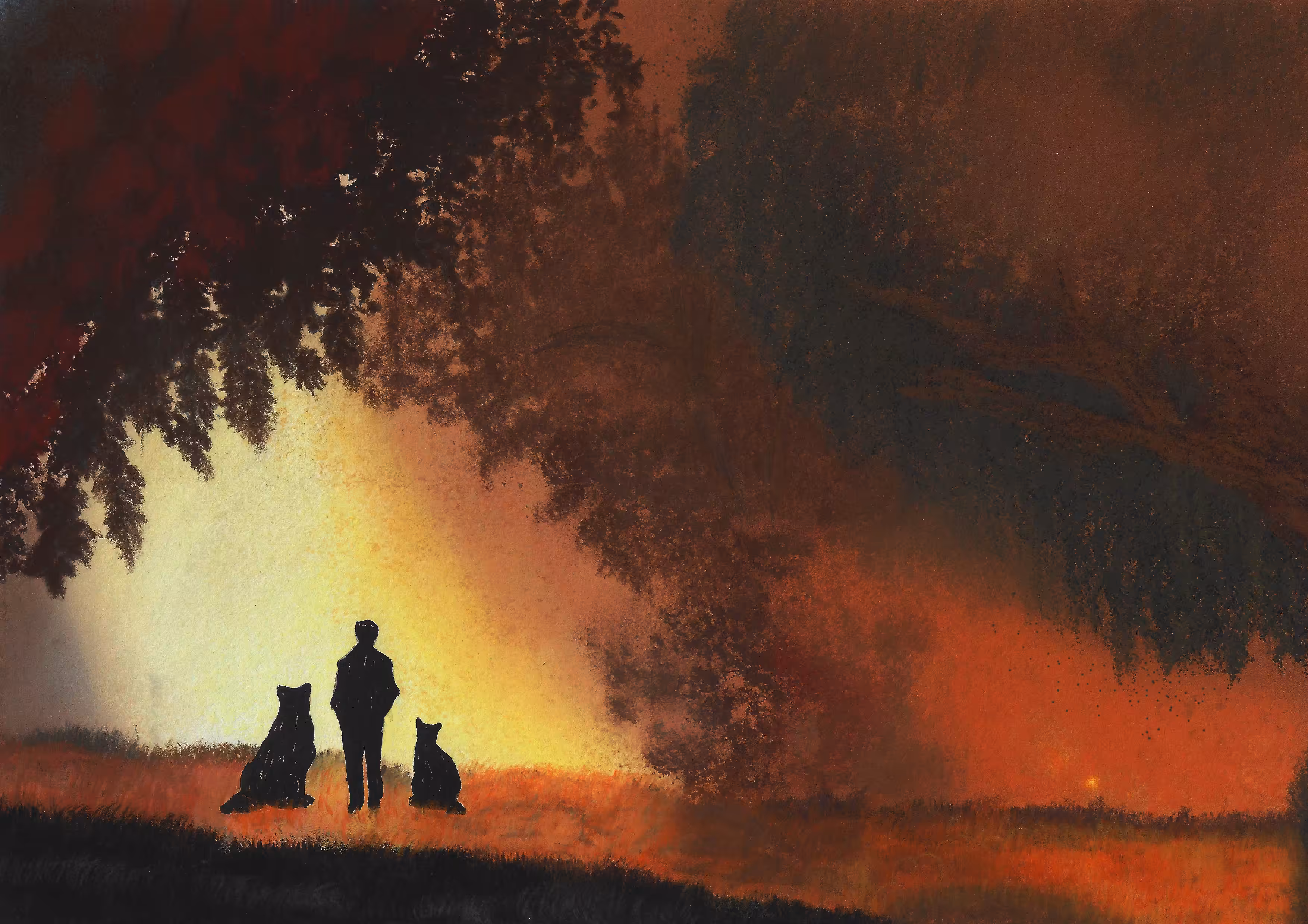 Where are you going? (at night in the park)