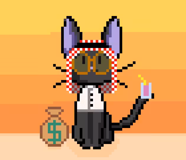 #35 Habibi Cat