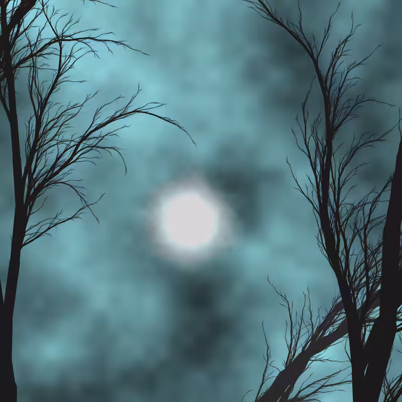 Through the night #15