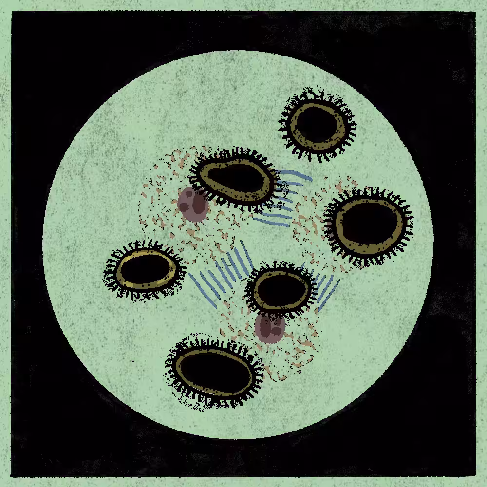 Microbes #9