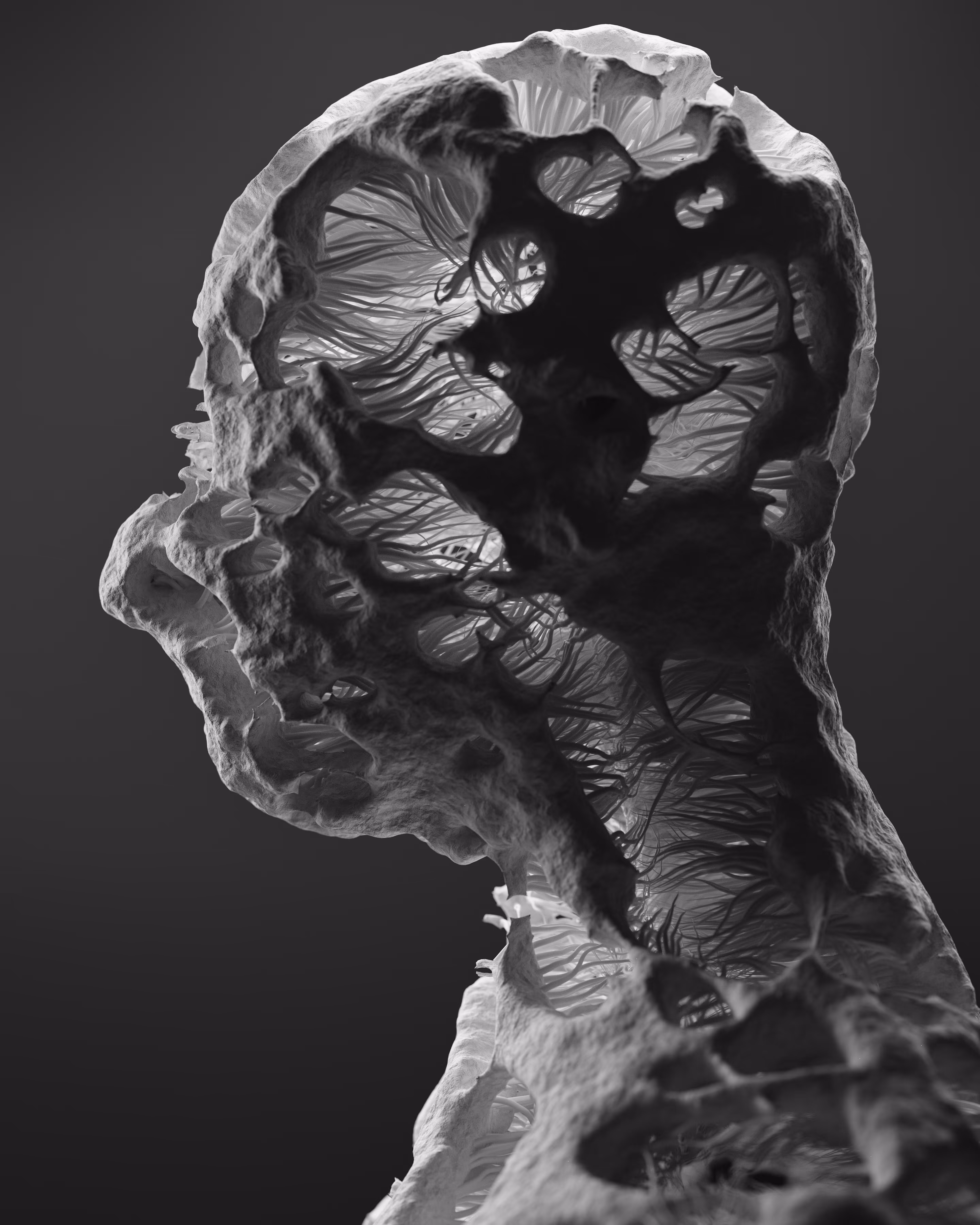 kor-alt_02