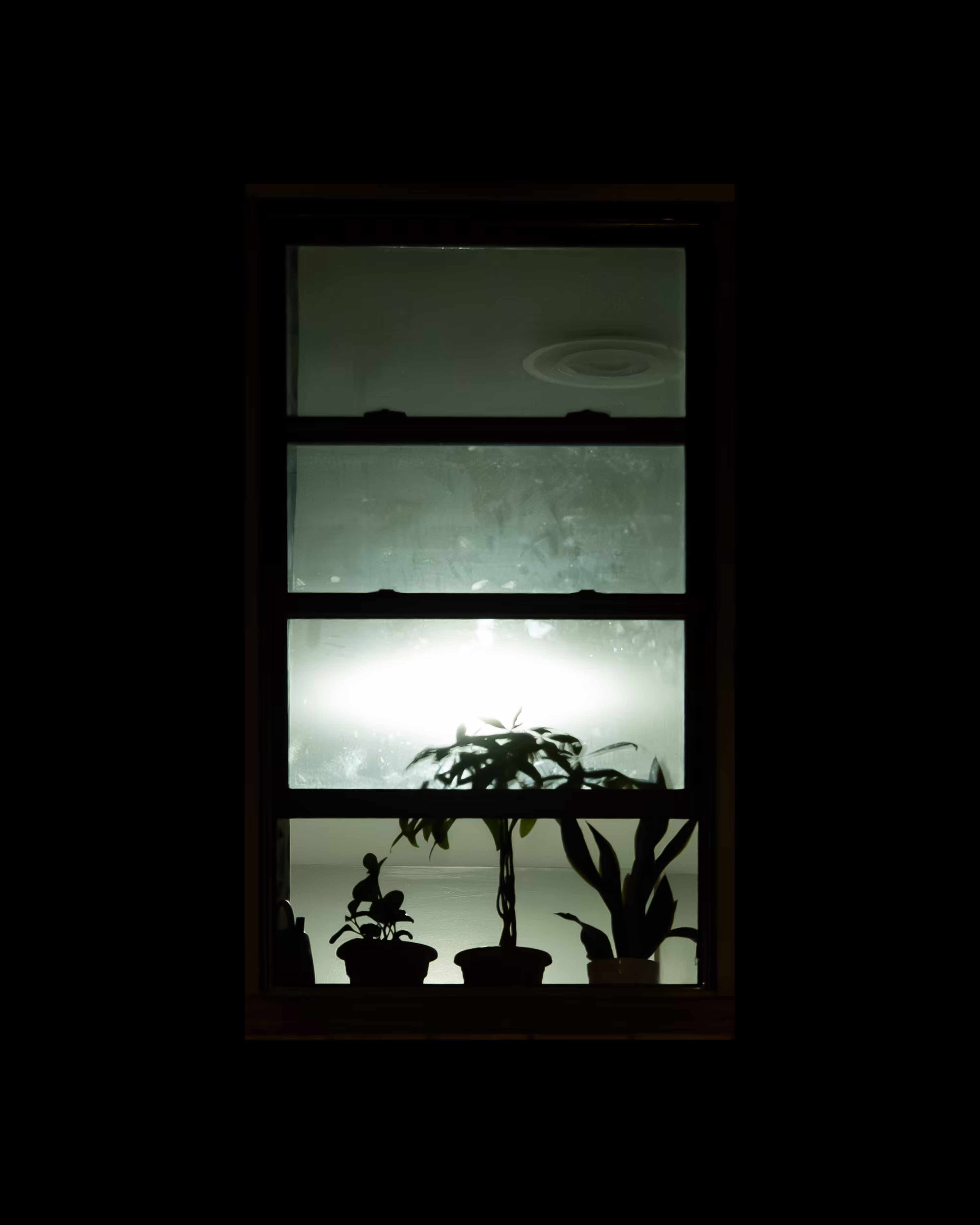 WINDOWS // NYC: WINDOW 572