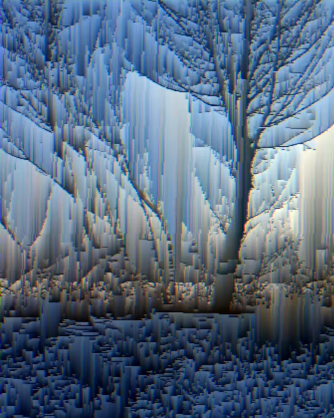 Winter Scene