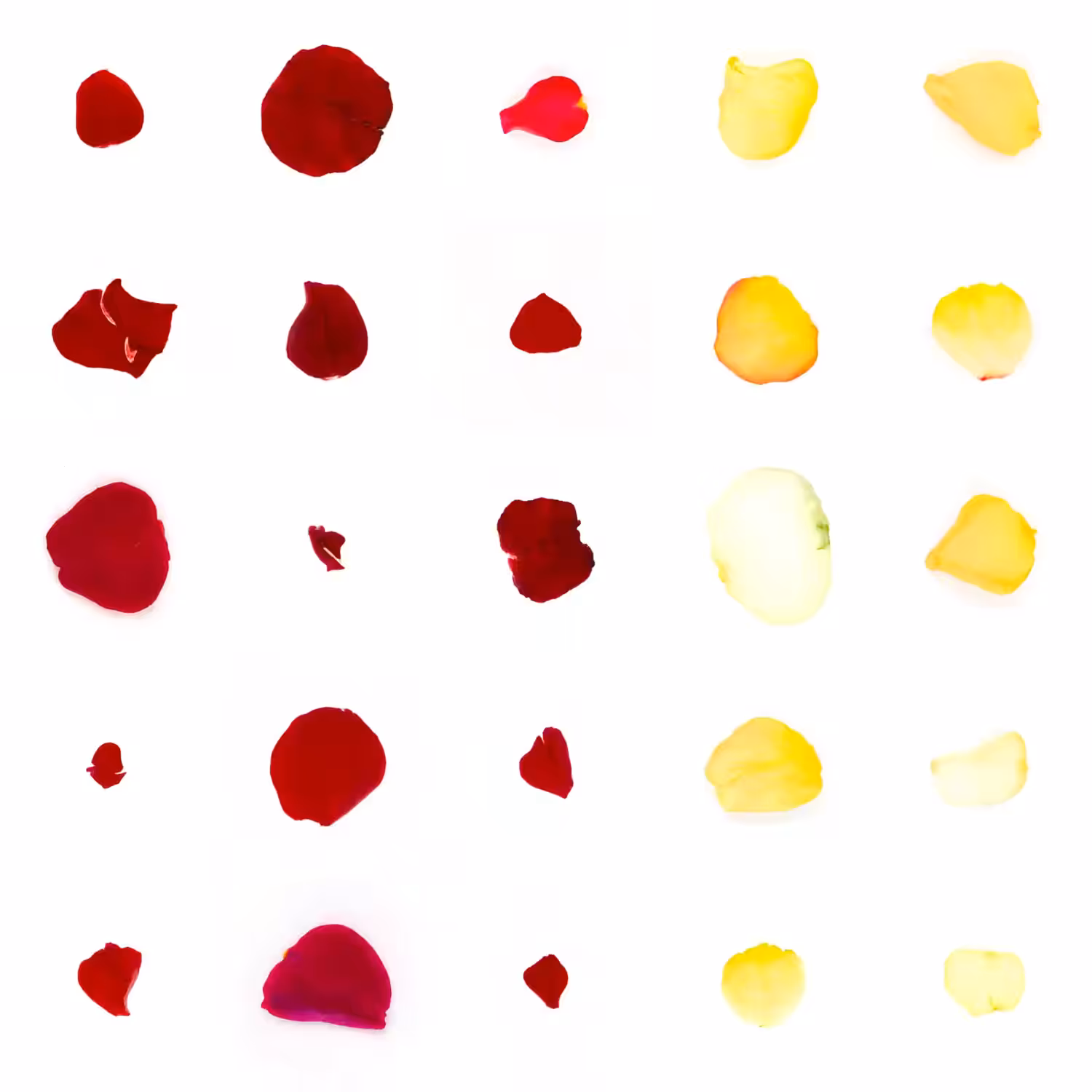 Infinite Petals 5x5#21444