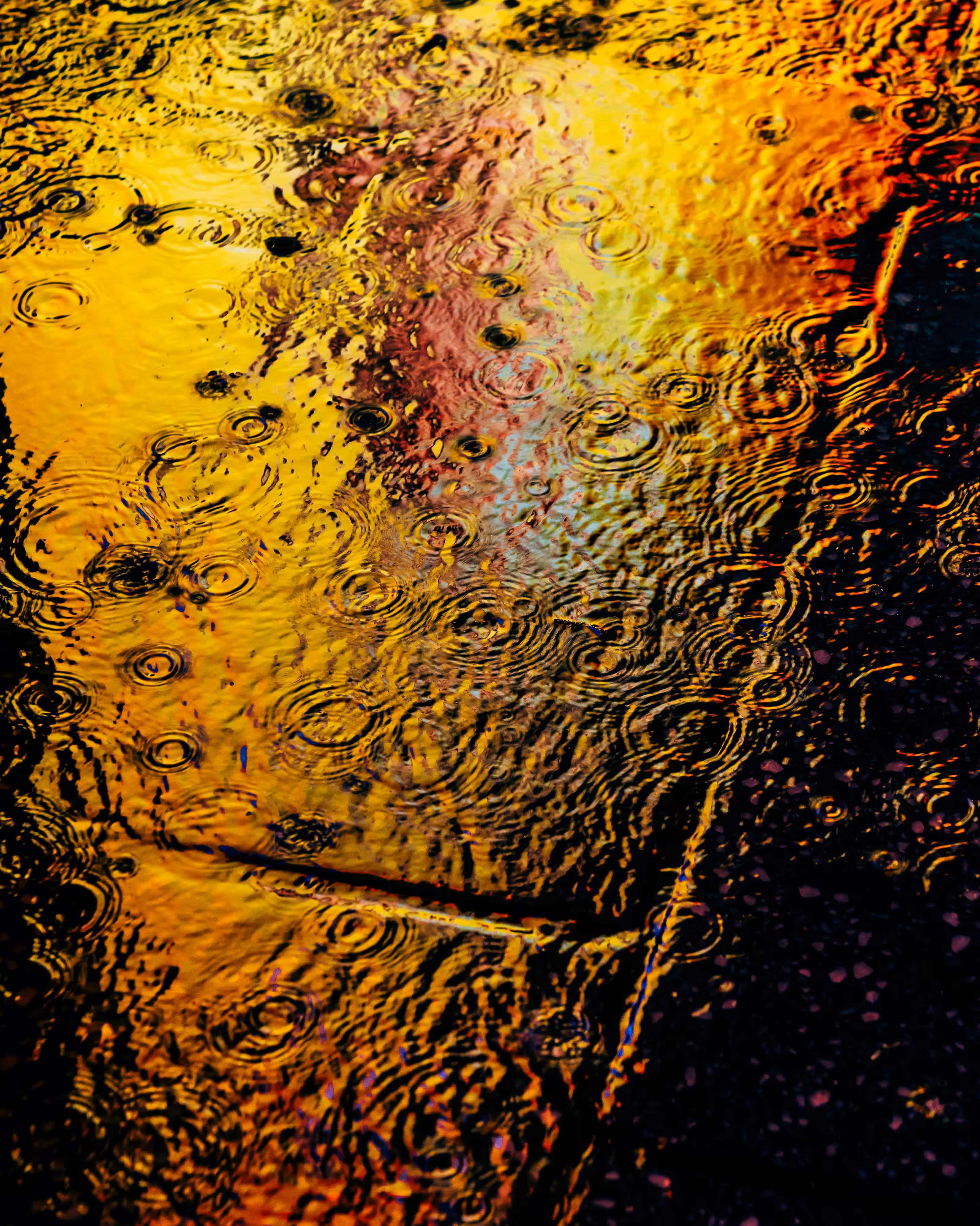 DRIP DROP: DRIP #693