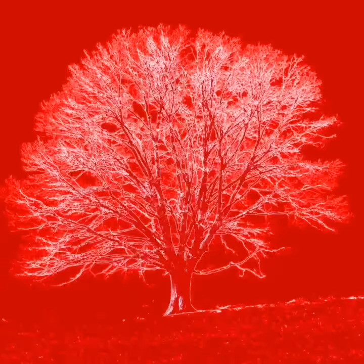 TREEMENDOUS