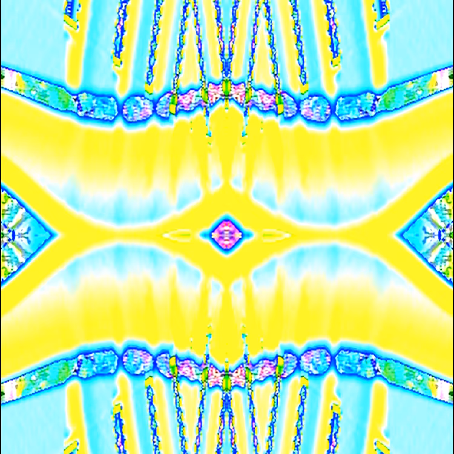 Dragonfly's Eyes