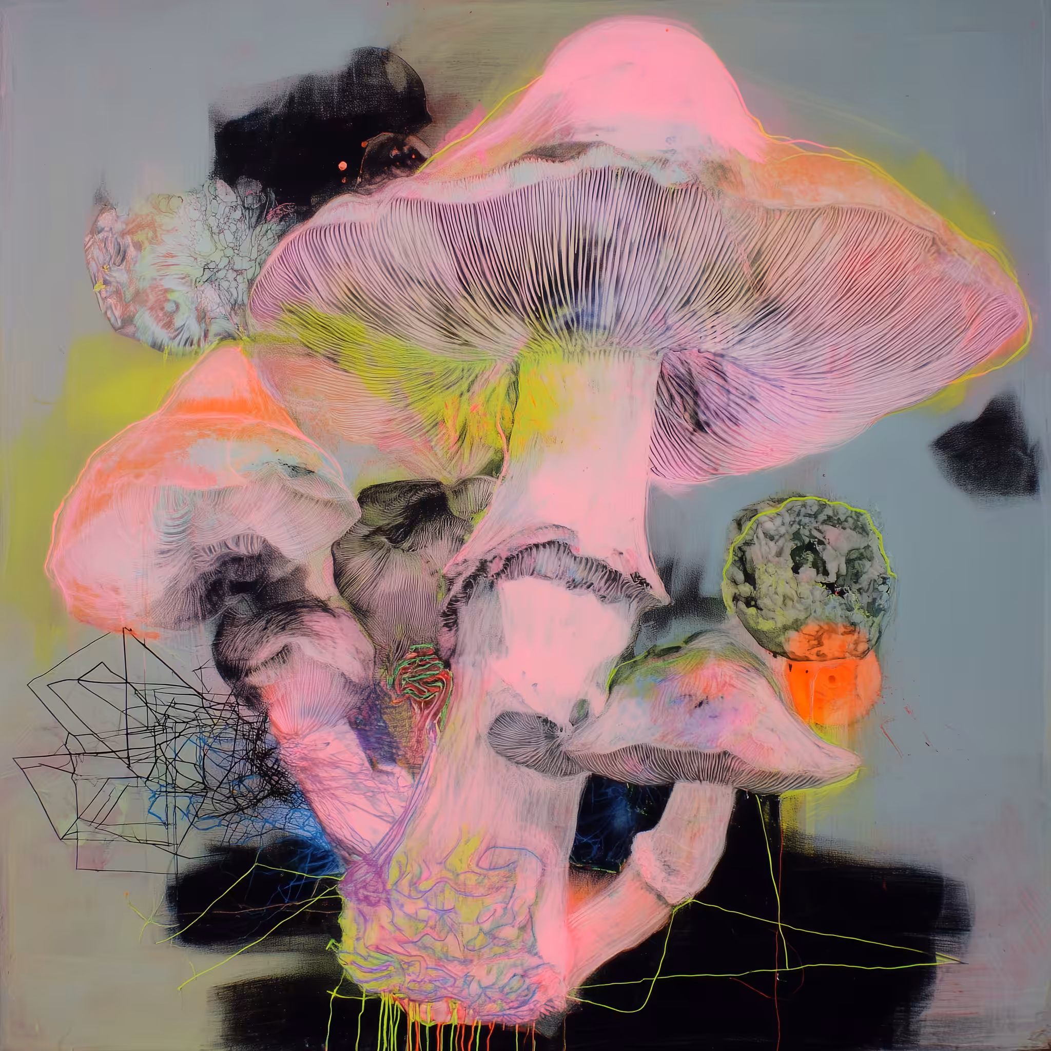 Spore No.03