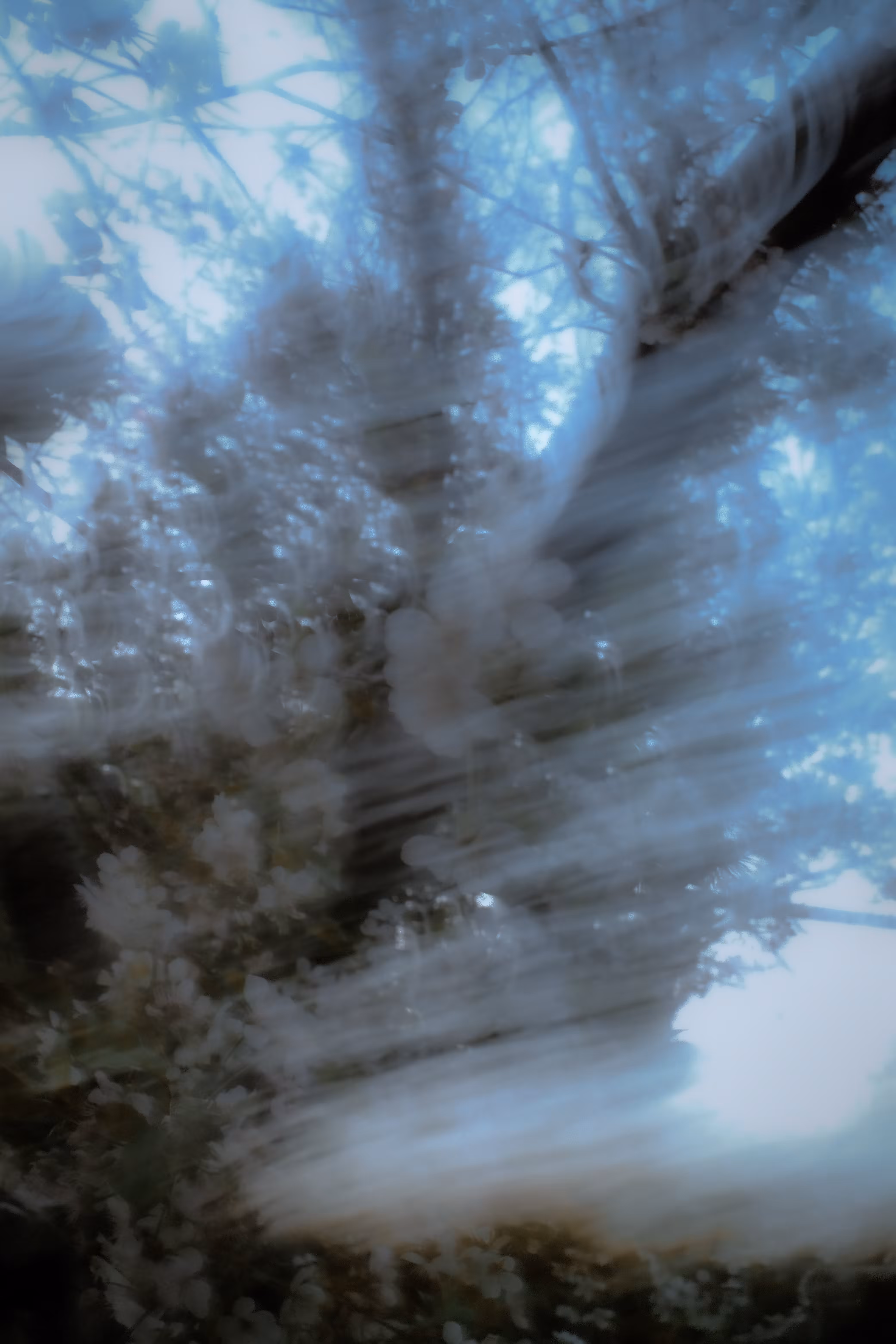 Frame III