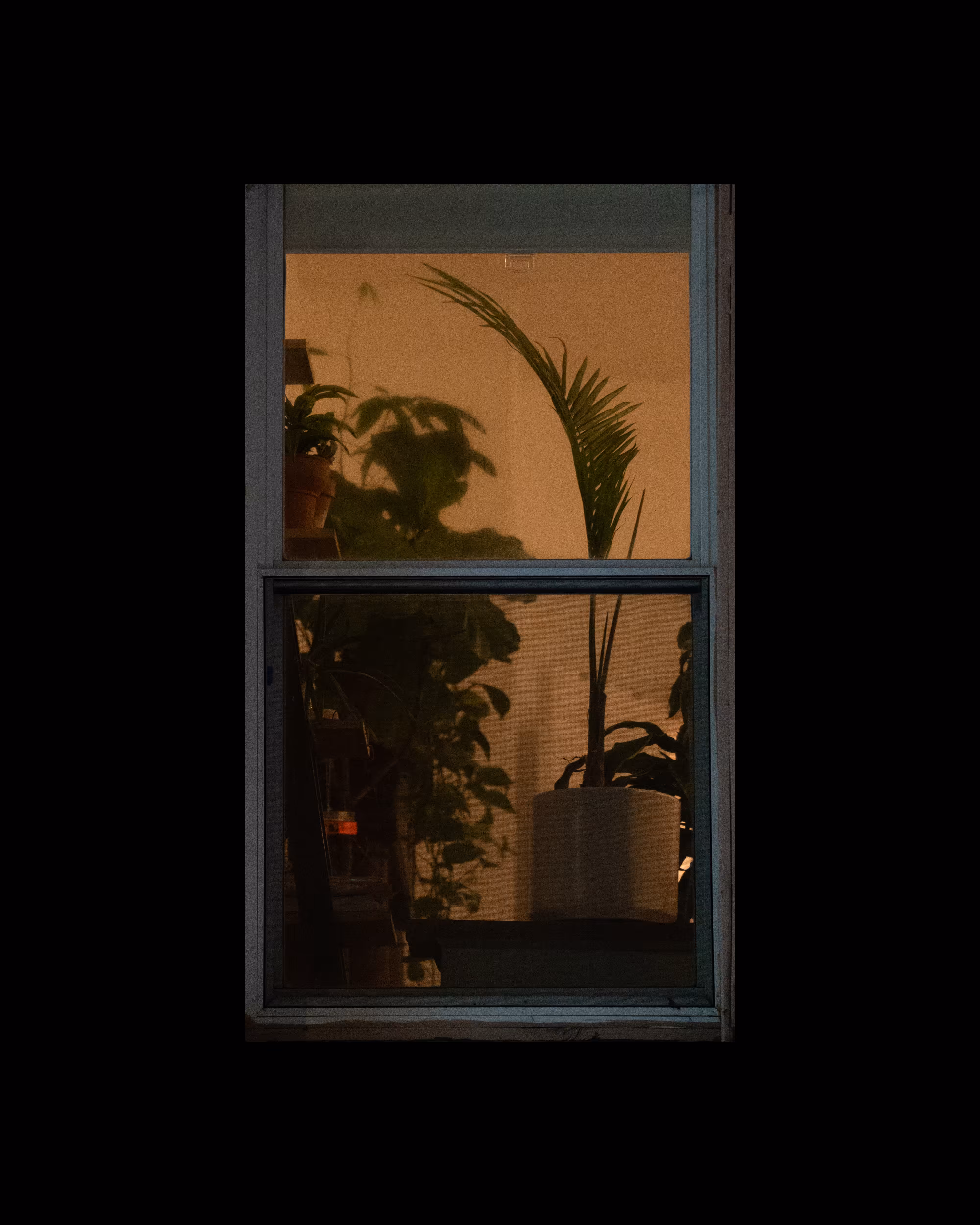 WINDOWS // NYC: WINDOW 85