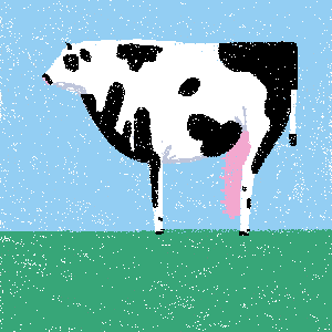 cow #124