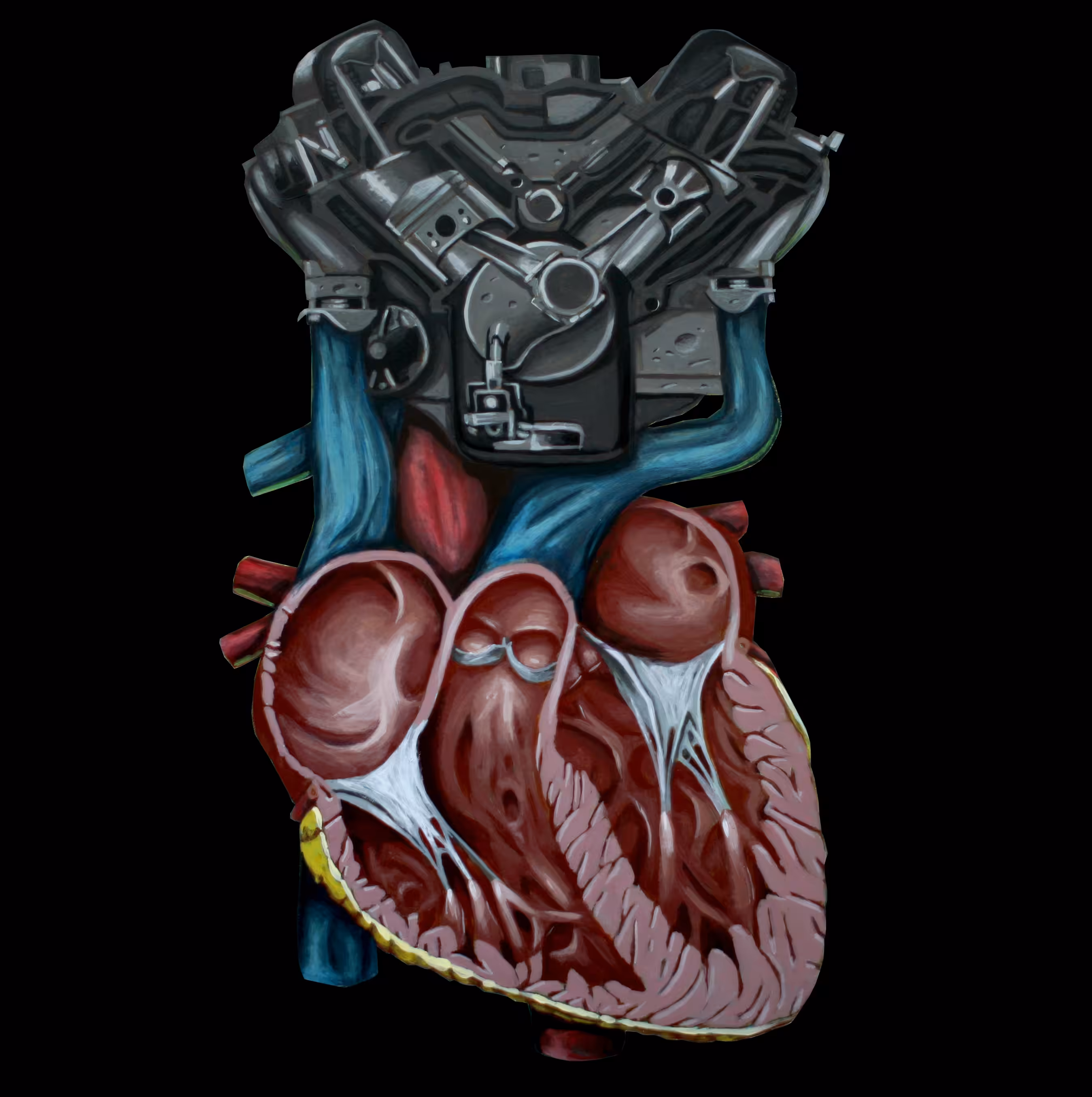 Heart Parts