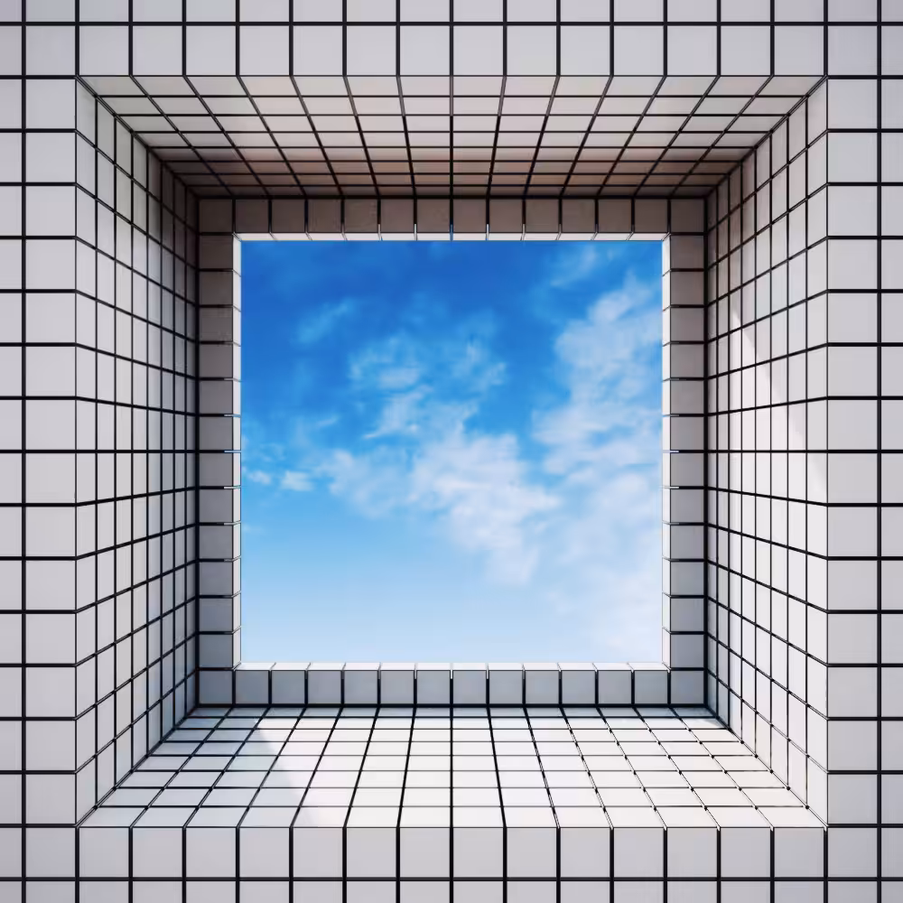 window collisions 2
