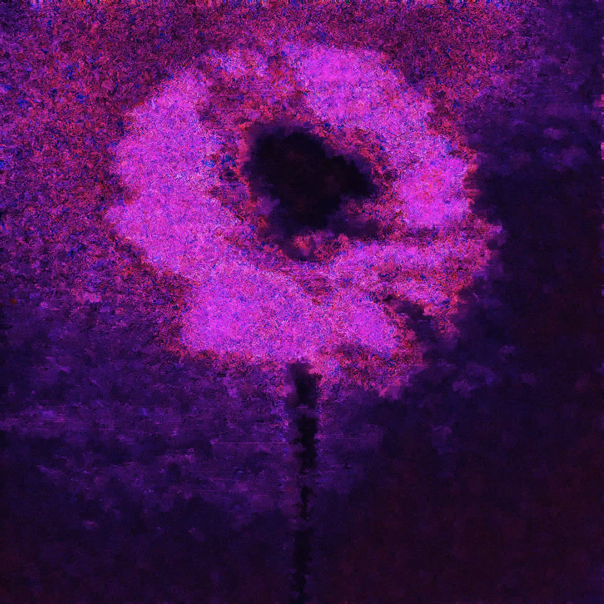 a flower for the moms who make the world go round