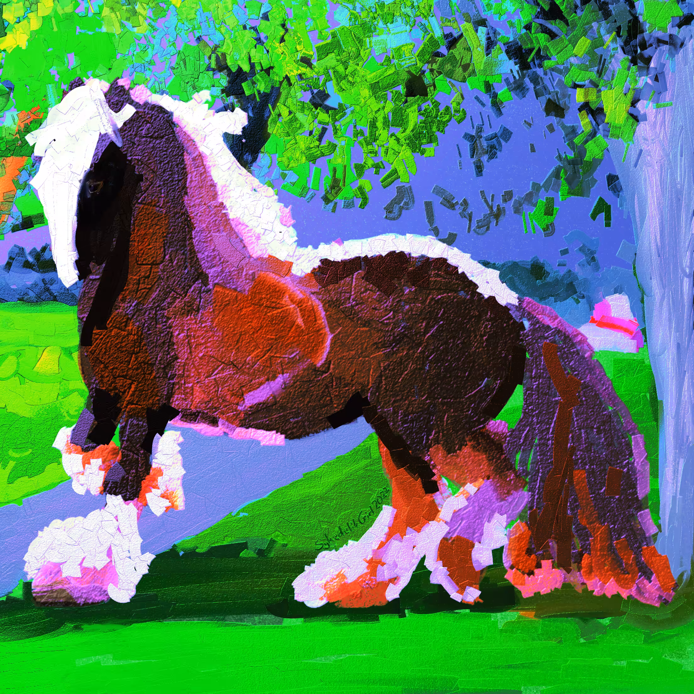 Bright Gypsy Vanner