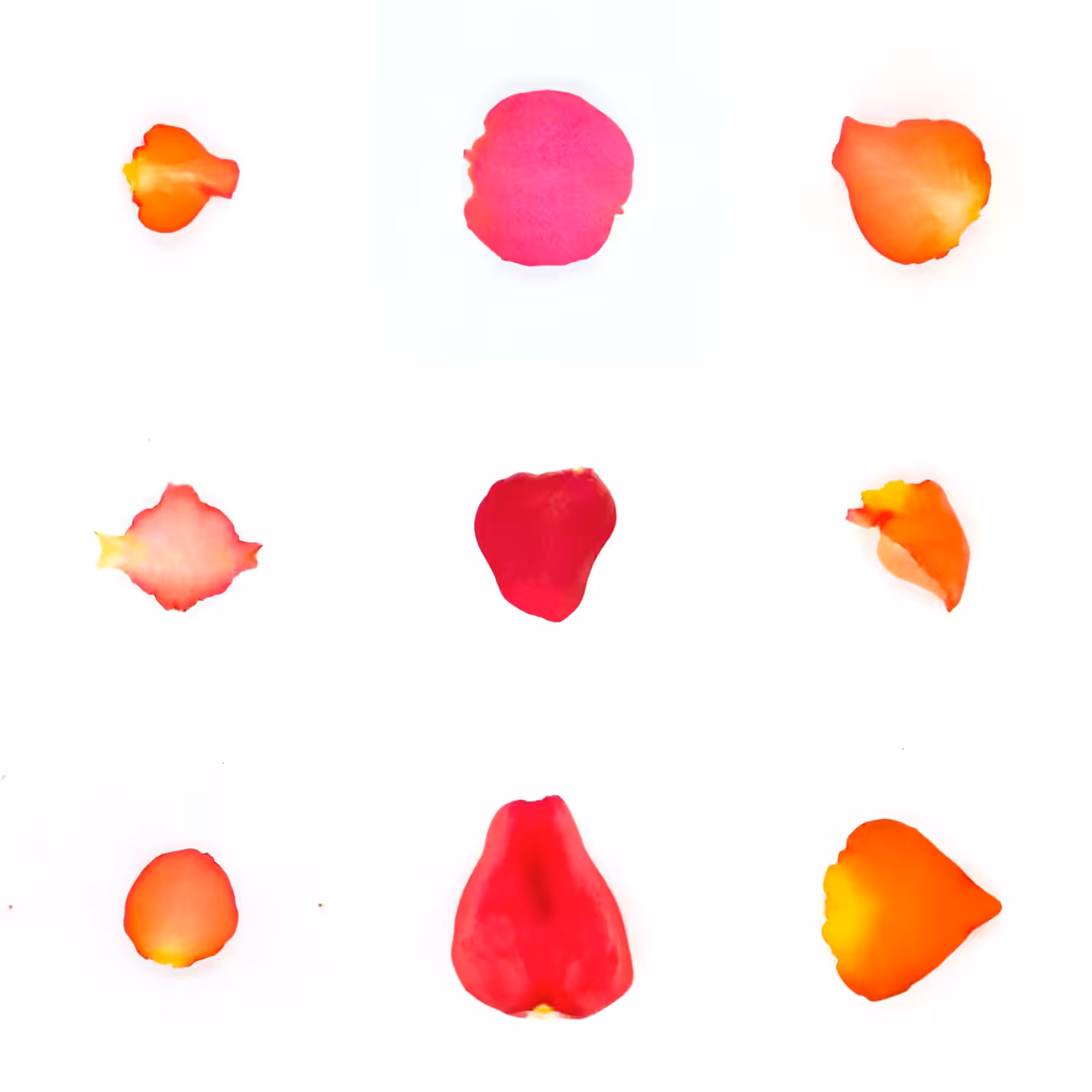 Infinite Petals 3x3#3913