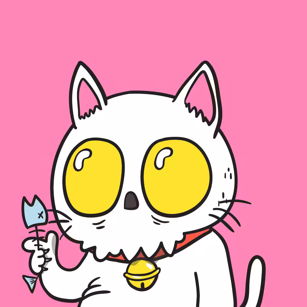 Kiddy xoxo "WHITE CAT"