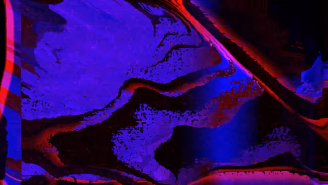 corruption¹⁵