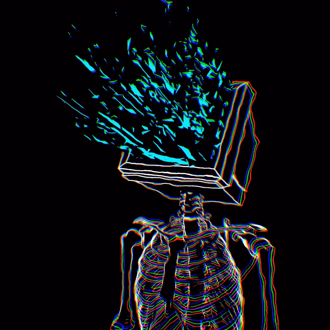 shattered perception