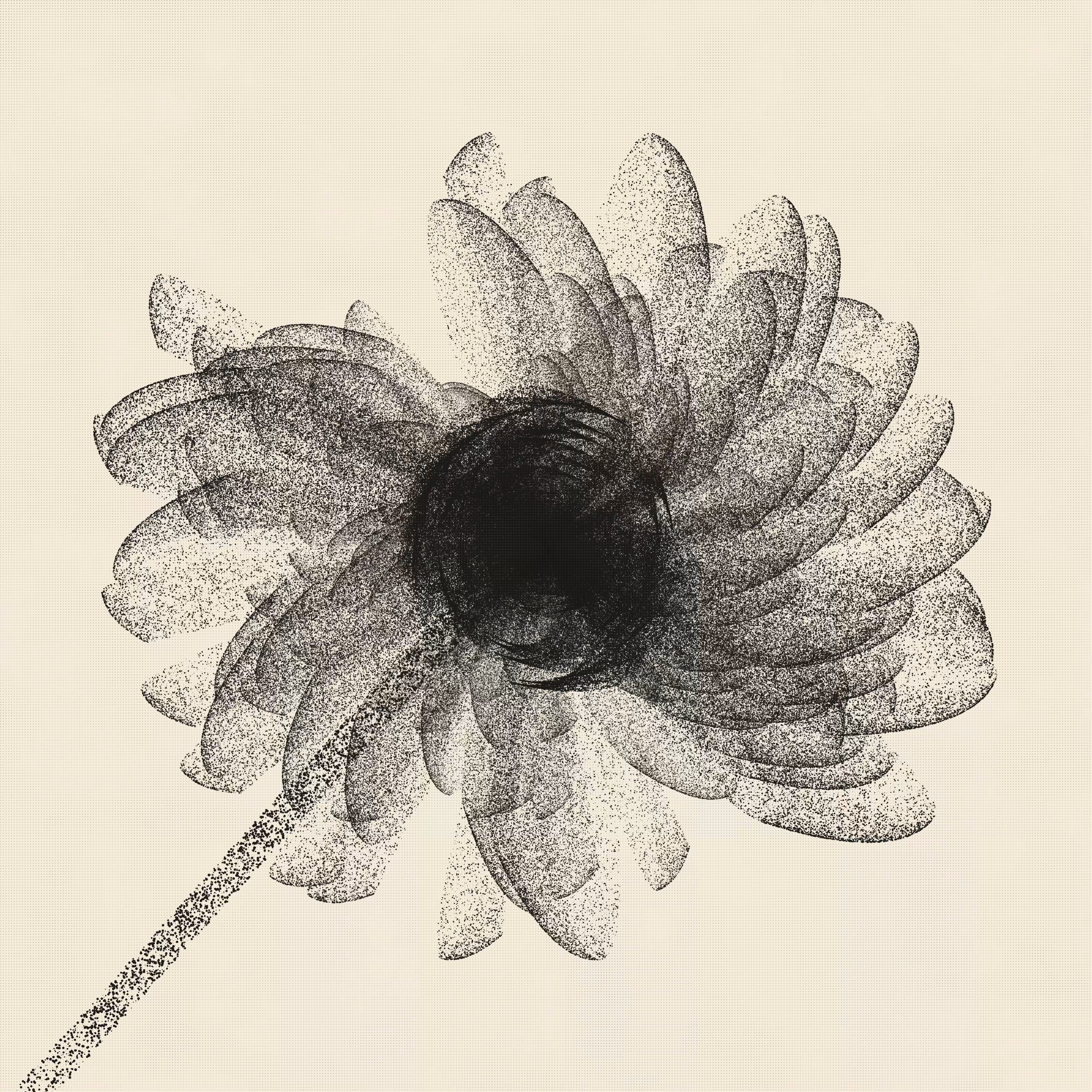 flos #4