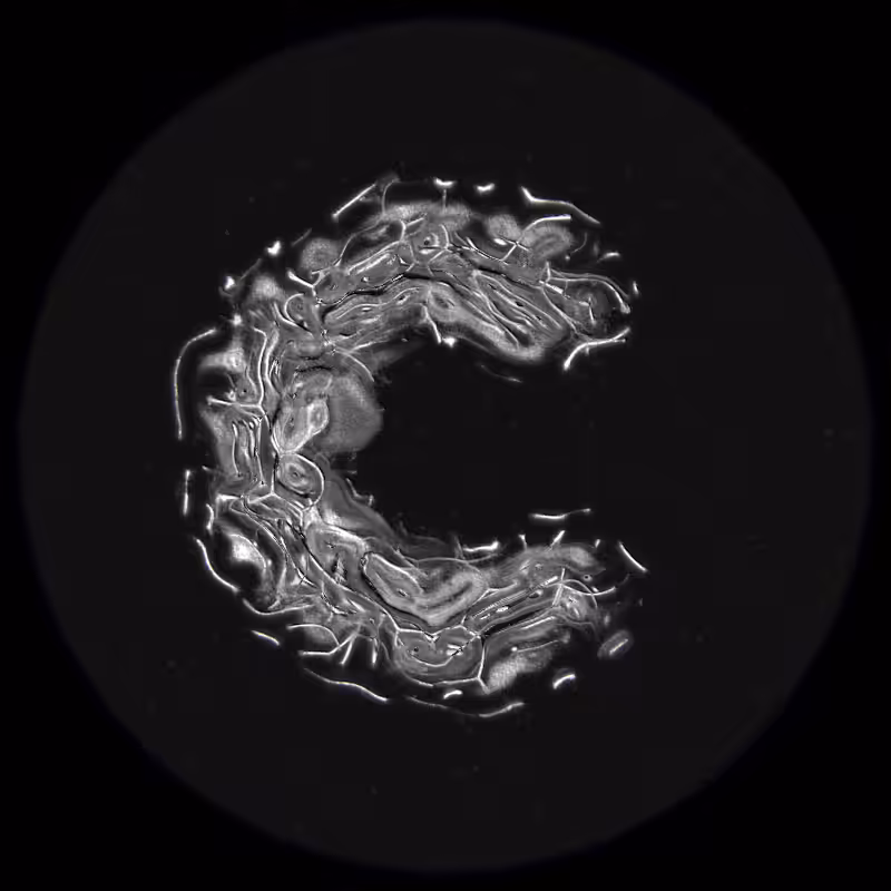 Ethereal Microcosm #78