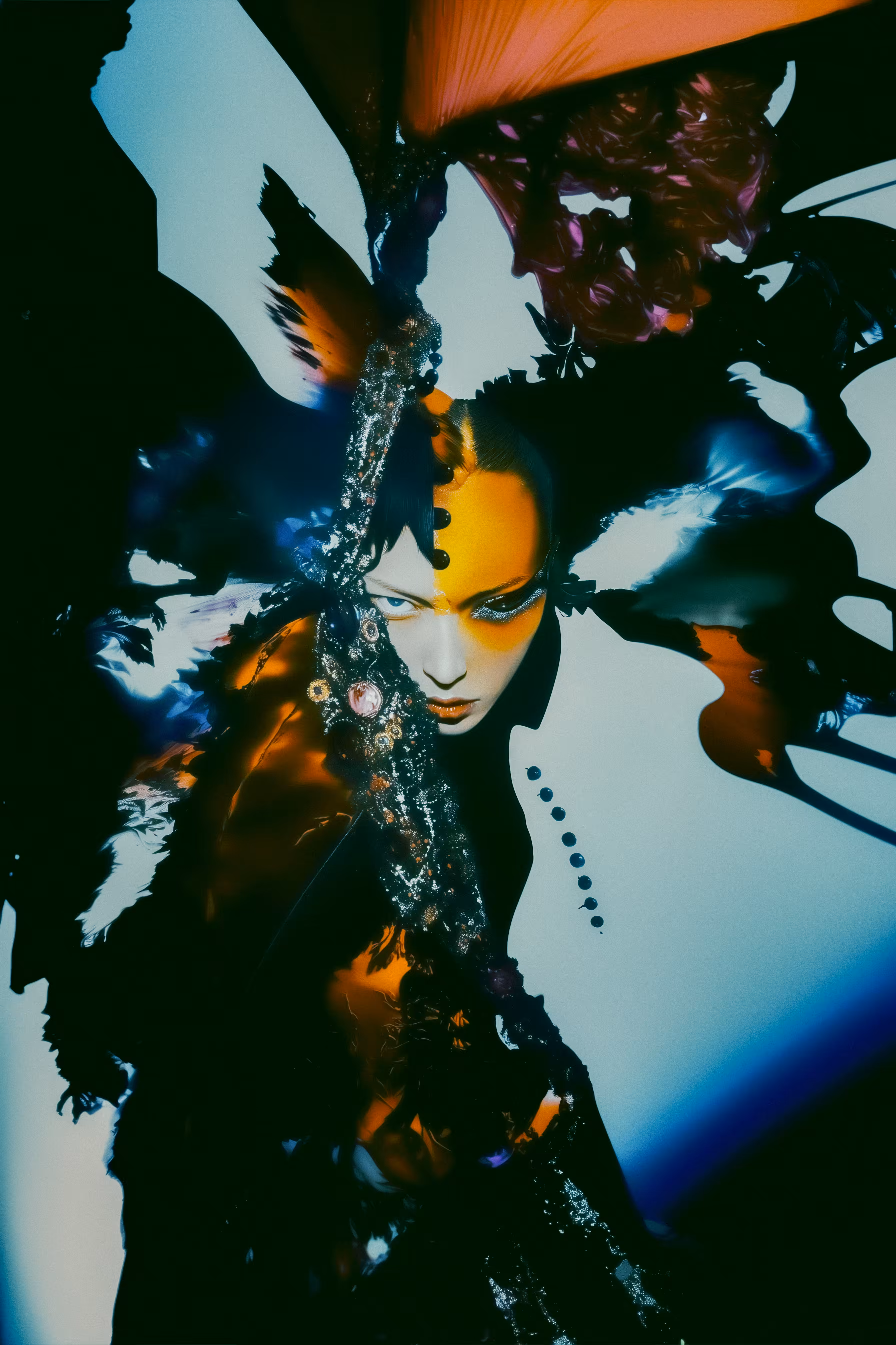 Portrait of a Phoenix