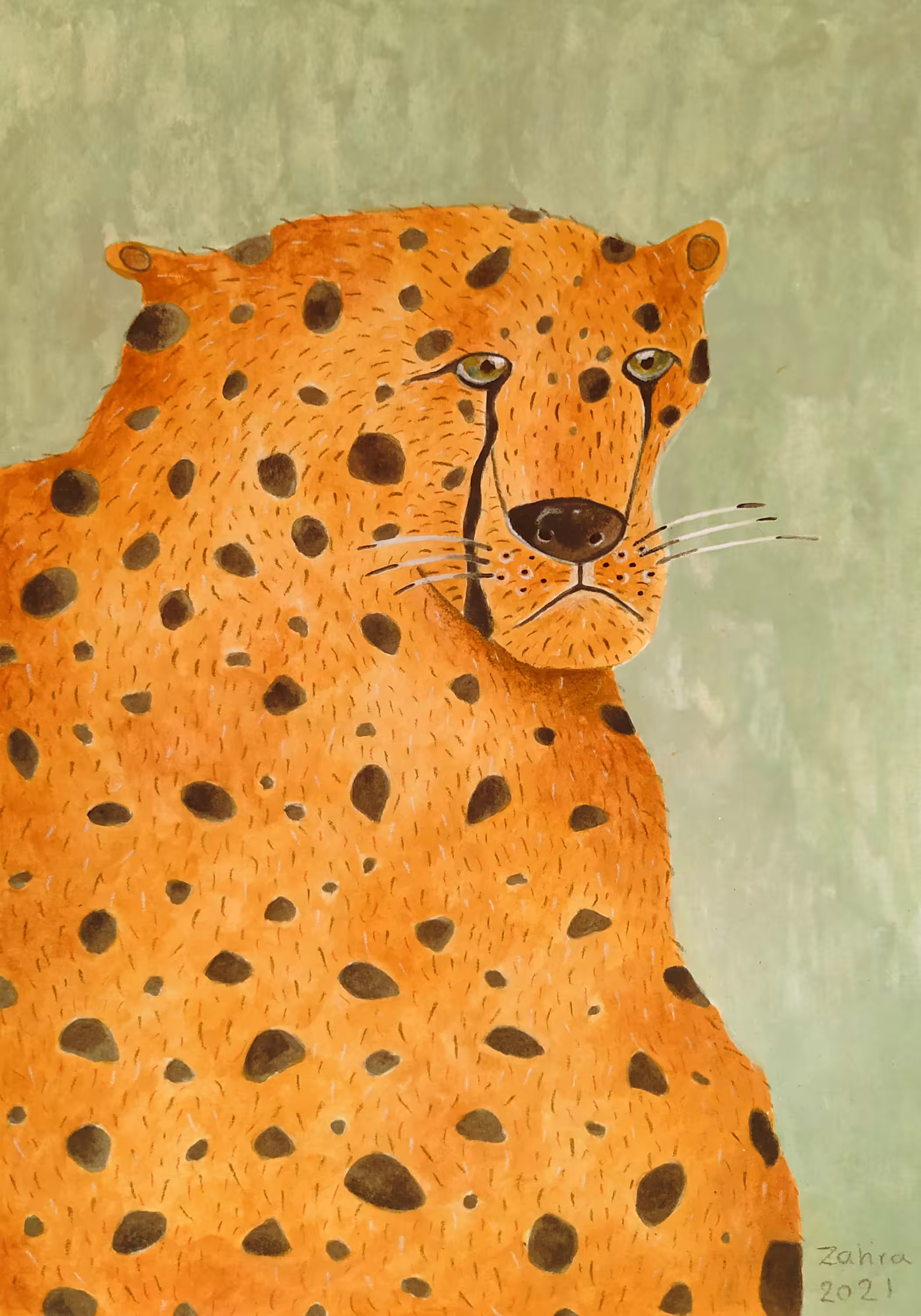 Cheetah