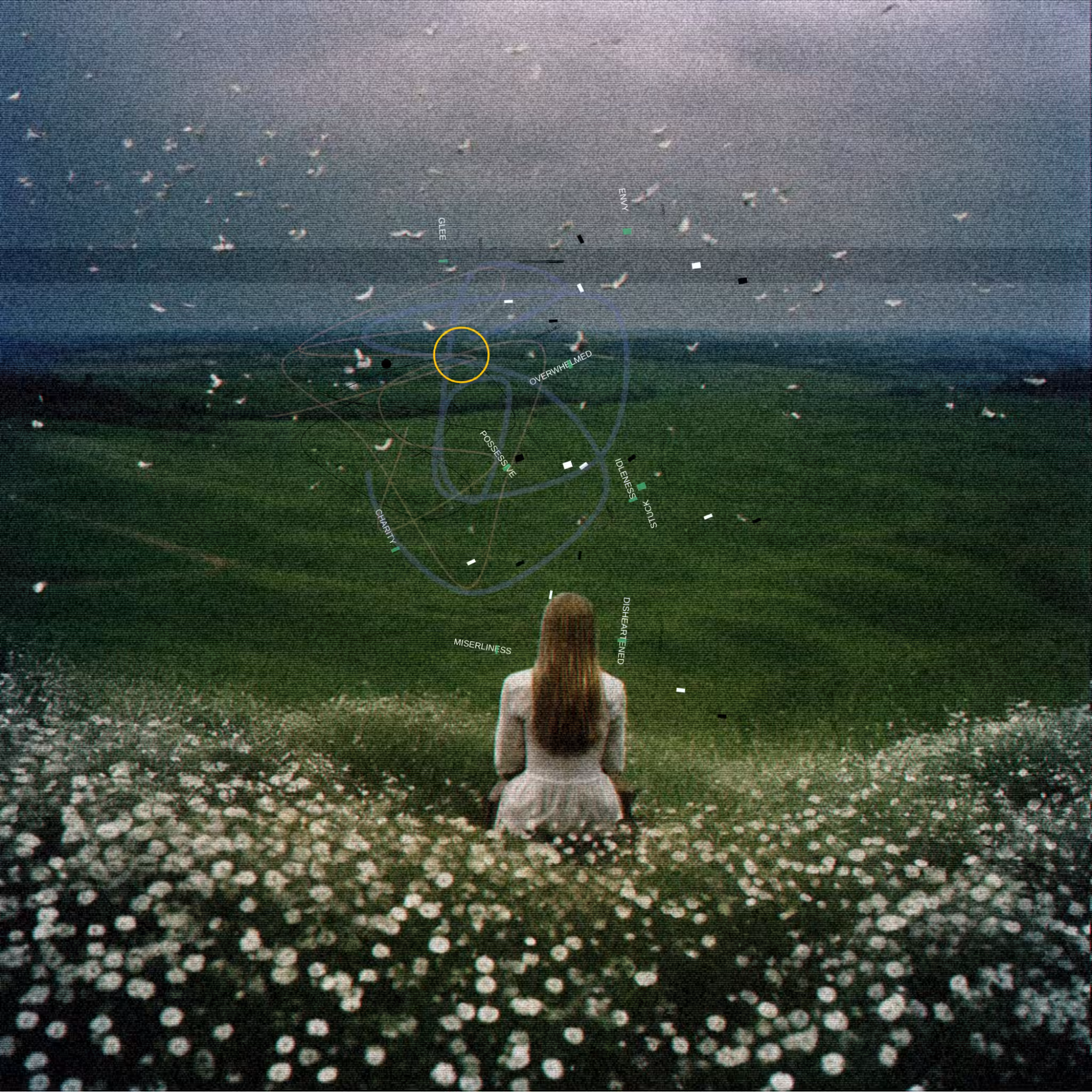 #65